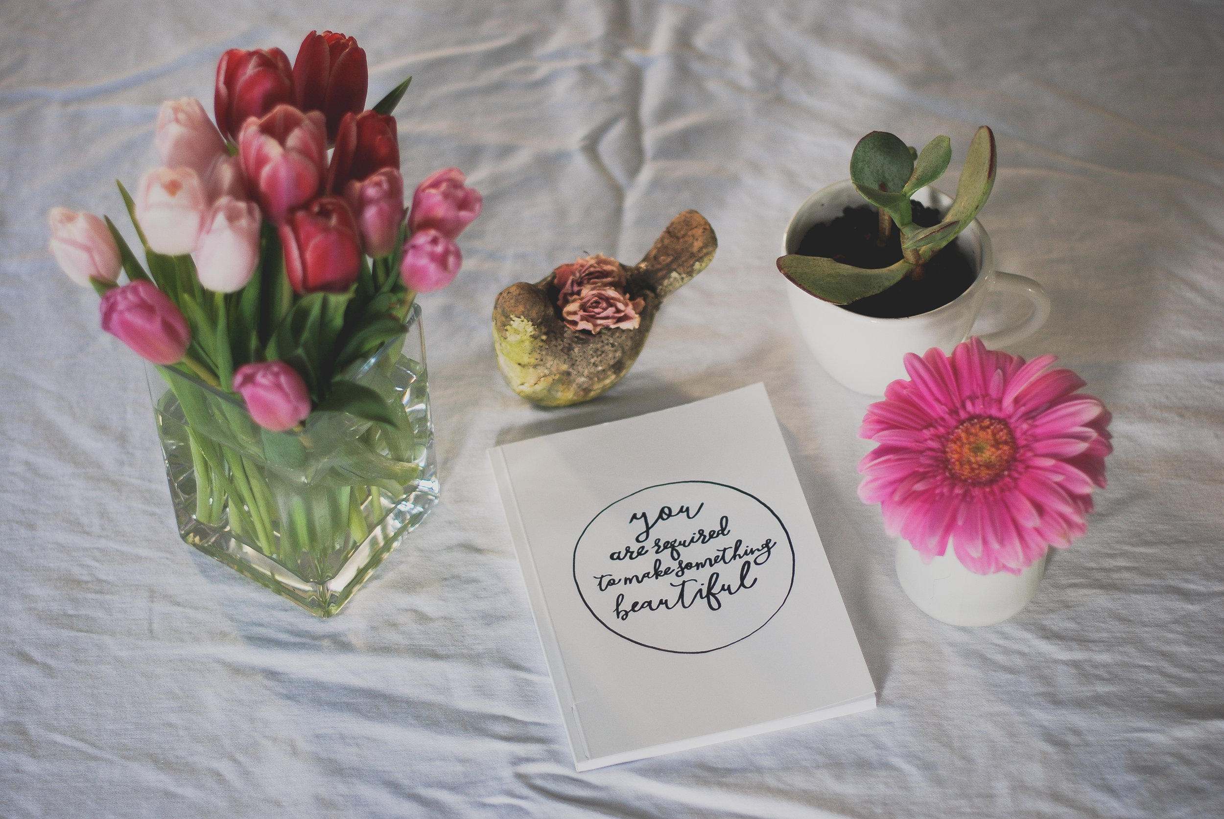 Notebook Give Away