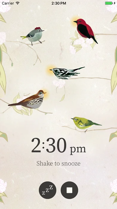 screen696x696.jpg