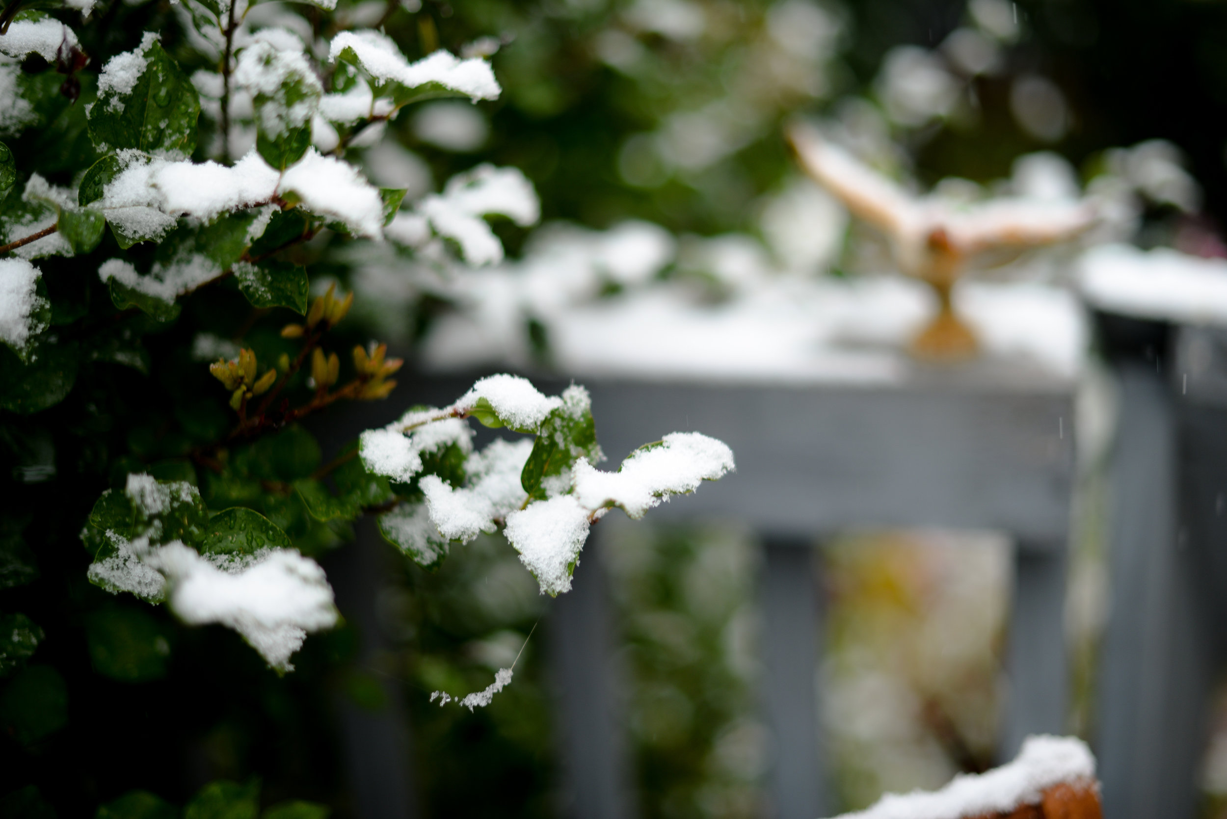 04-snow in september-11.jpg