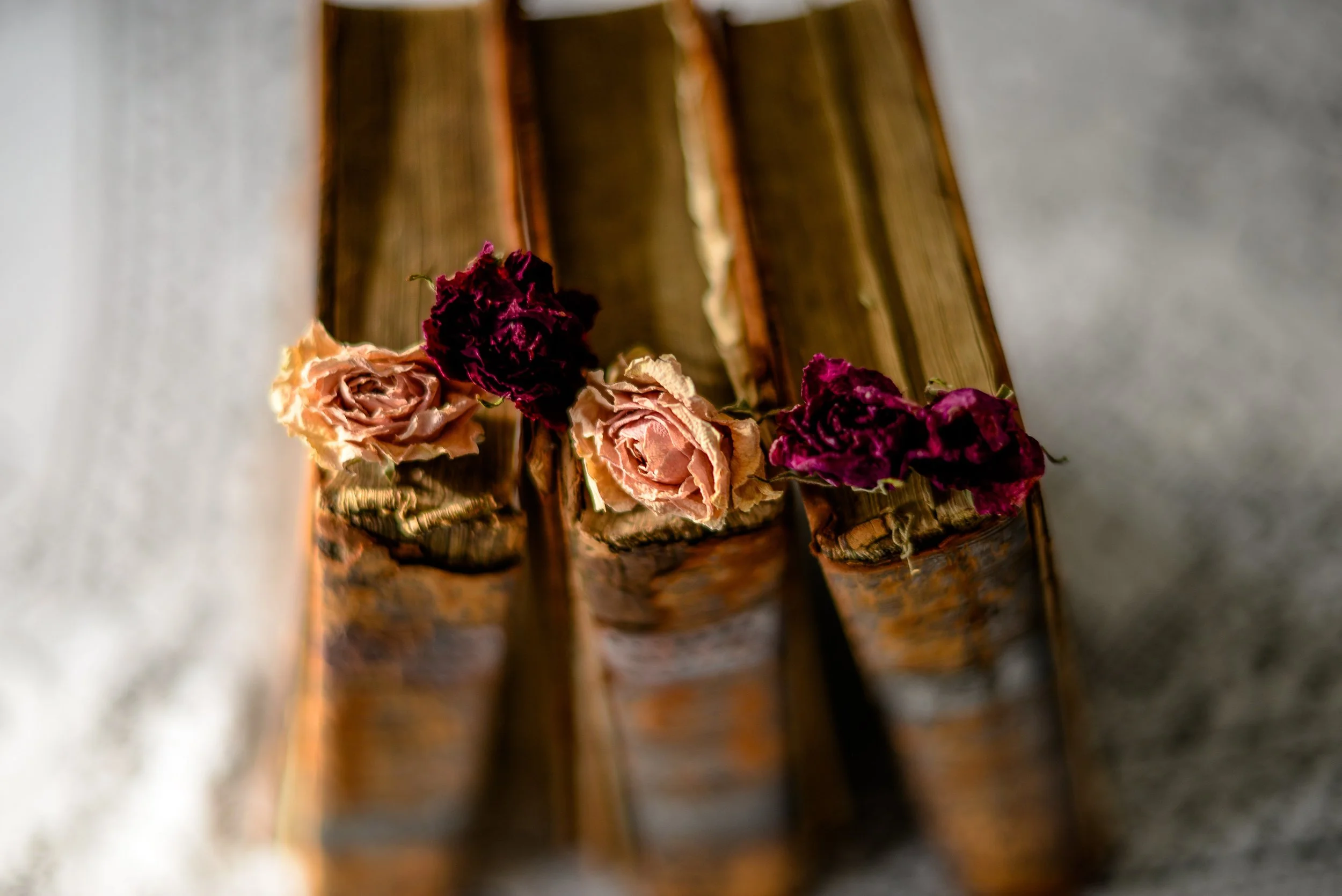 2-books and dried roses-6.jpg