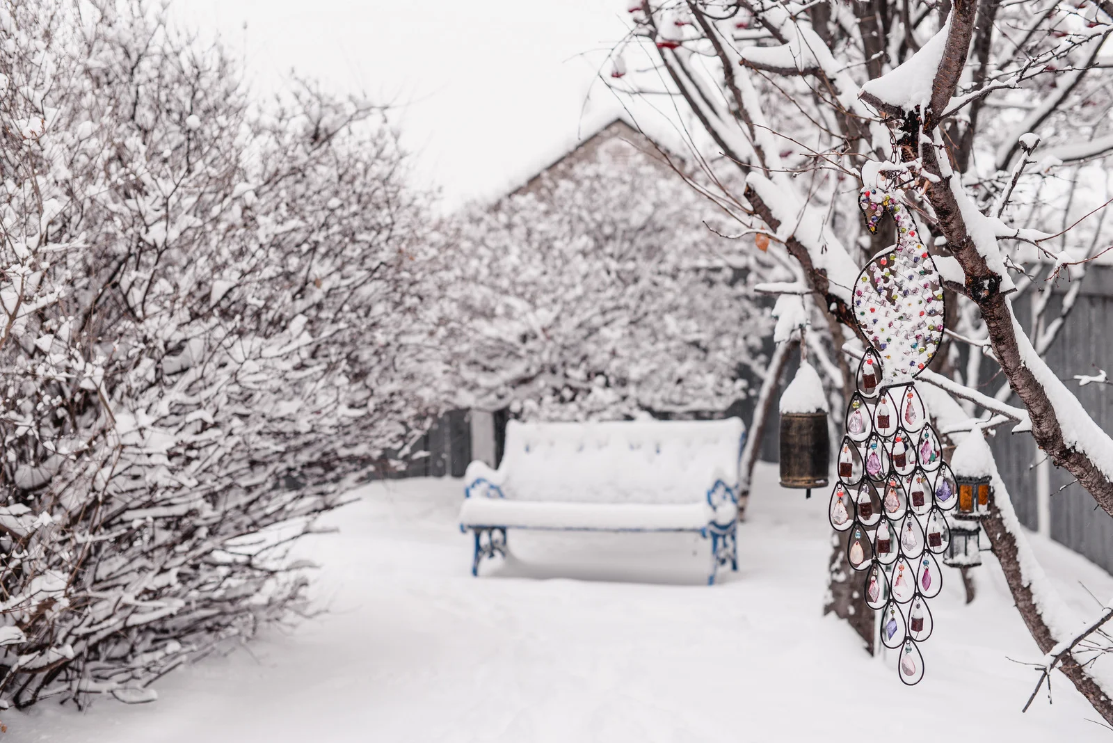 05-snow day-9.jpg