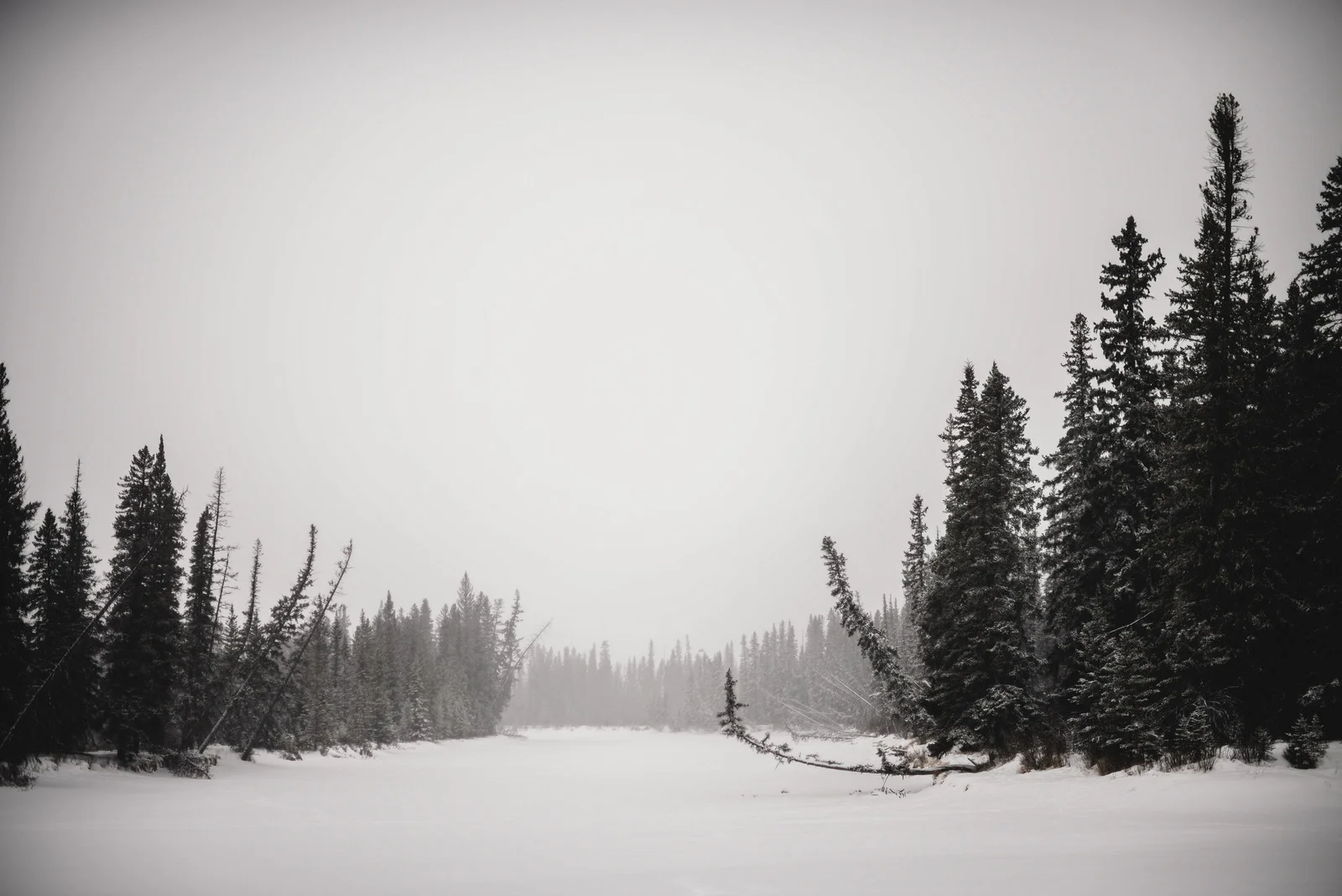 09-banff march 2018-81.jpg