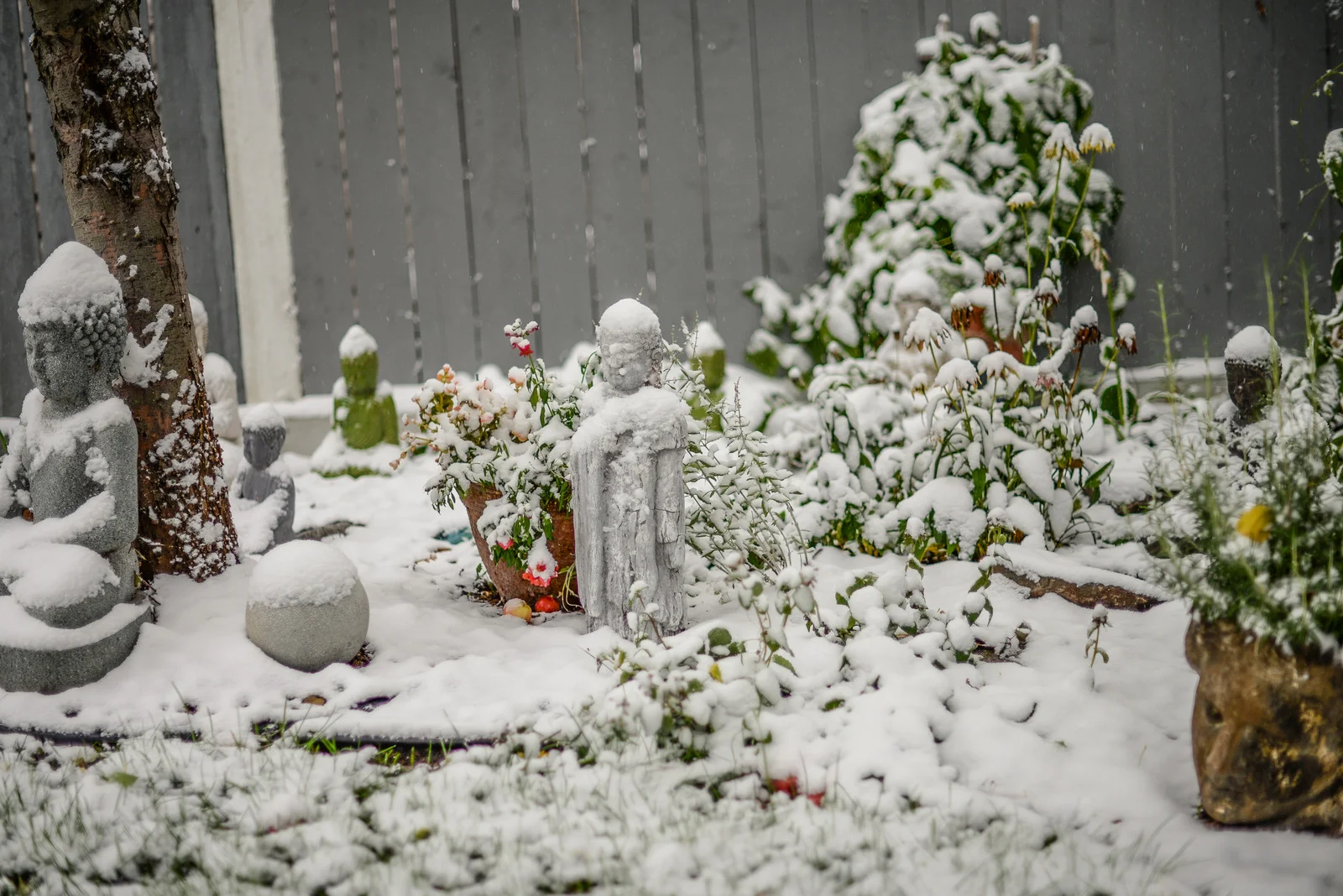 11-early winter sept 13 2018-37.jpg