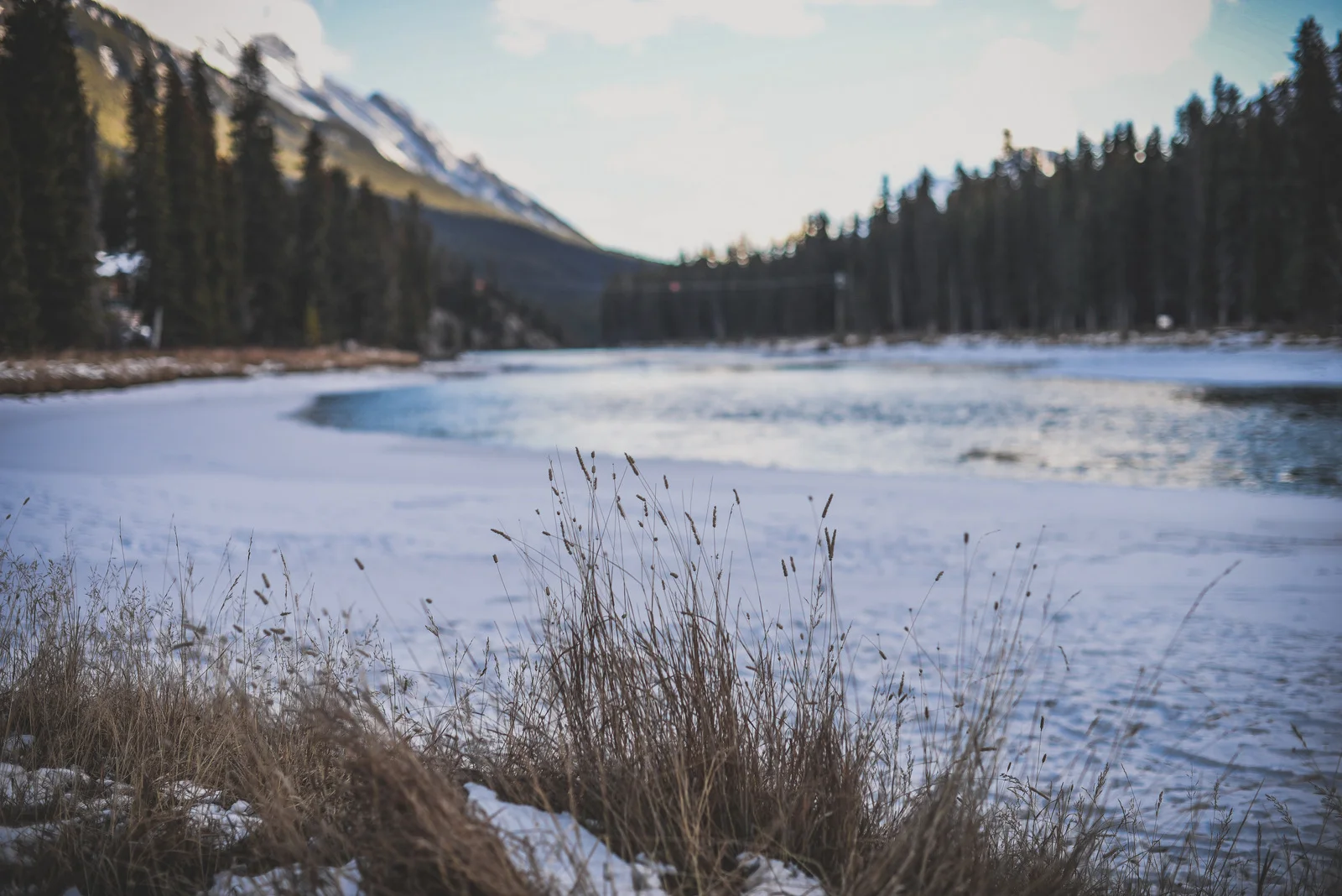 1-Banff November 2018-45.jpg