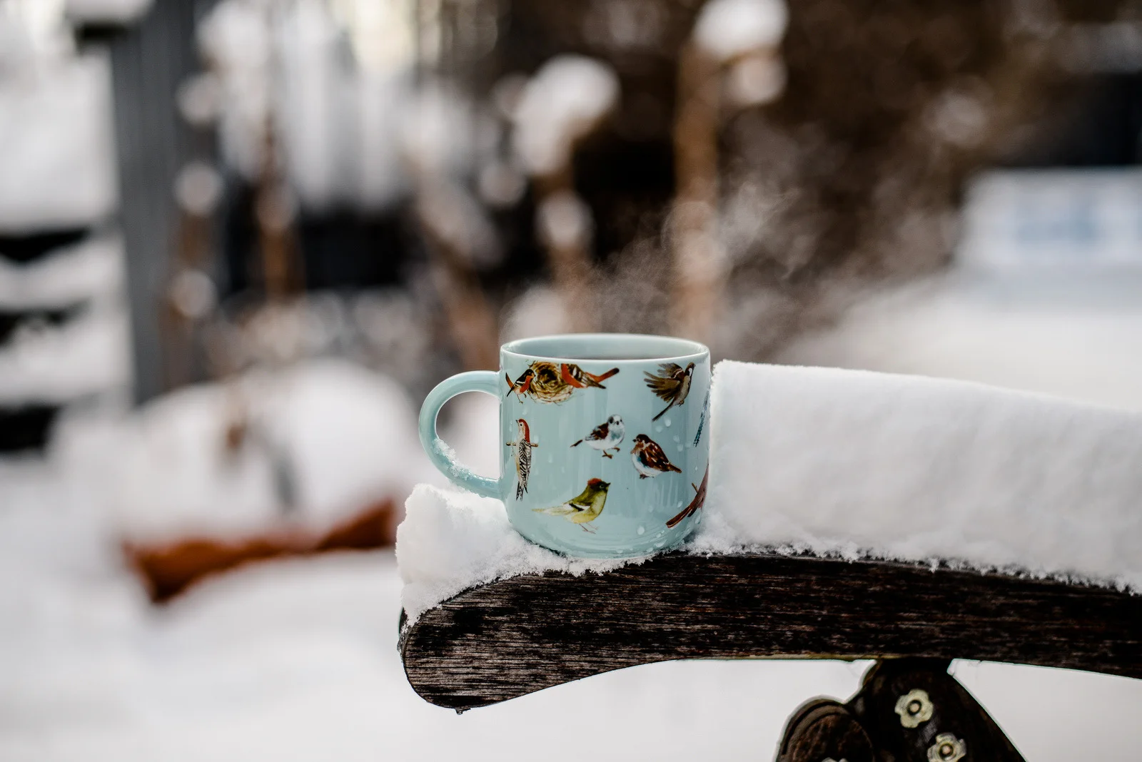 Bewilderment, Wonder, and Tea in the Snow