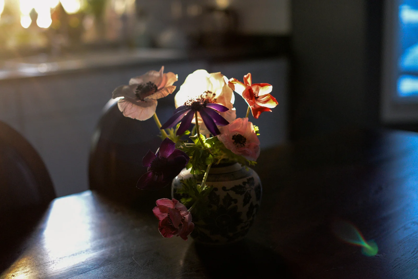 3-anemones-9-2.jpg