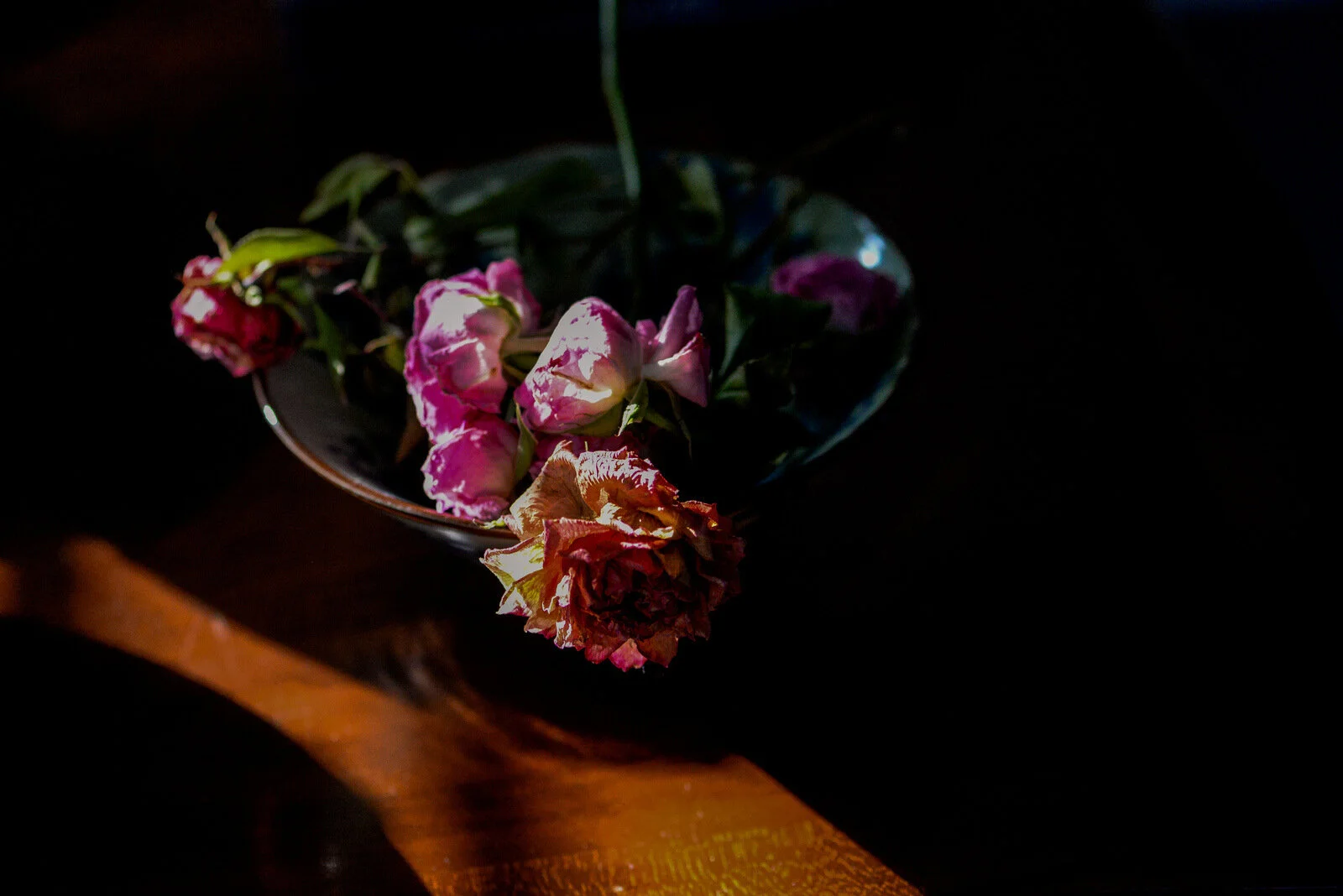 dried roses Shawna Lemay