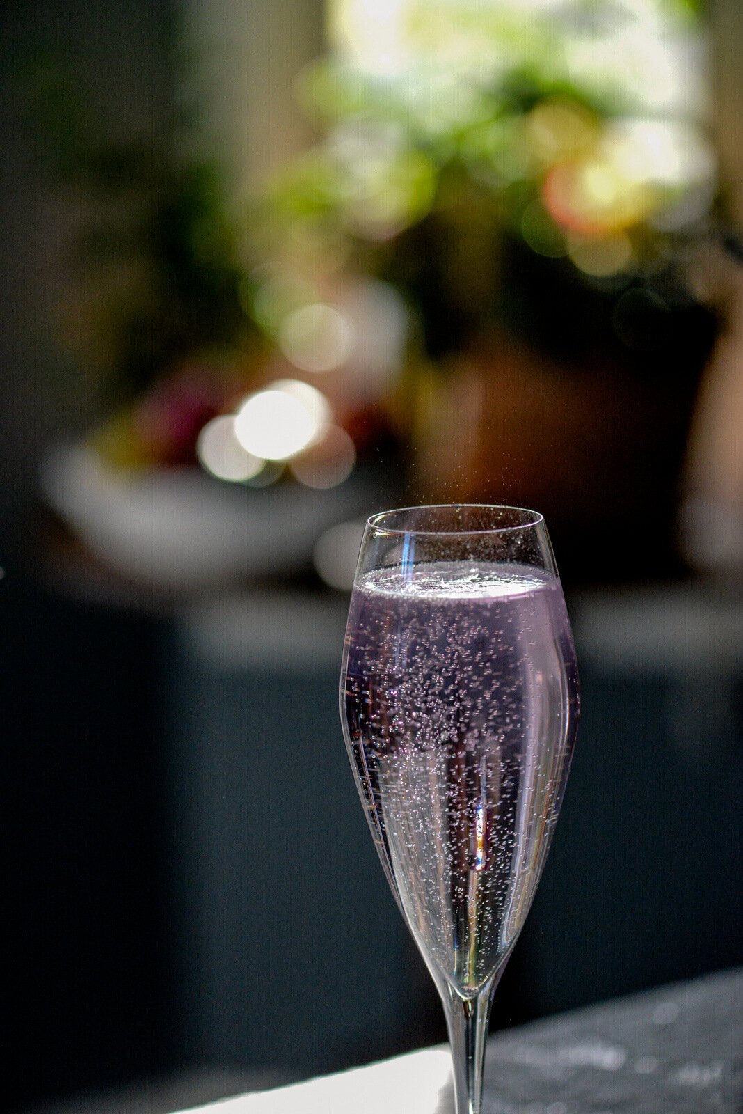 prosecco shawna lemay