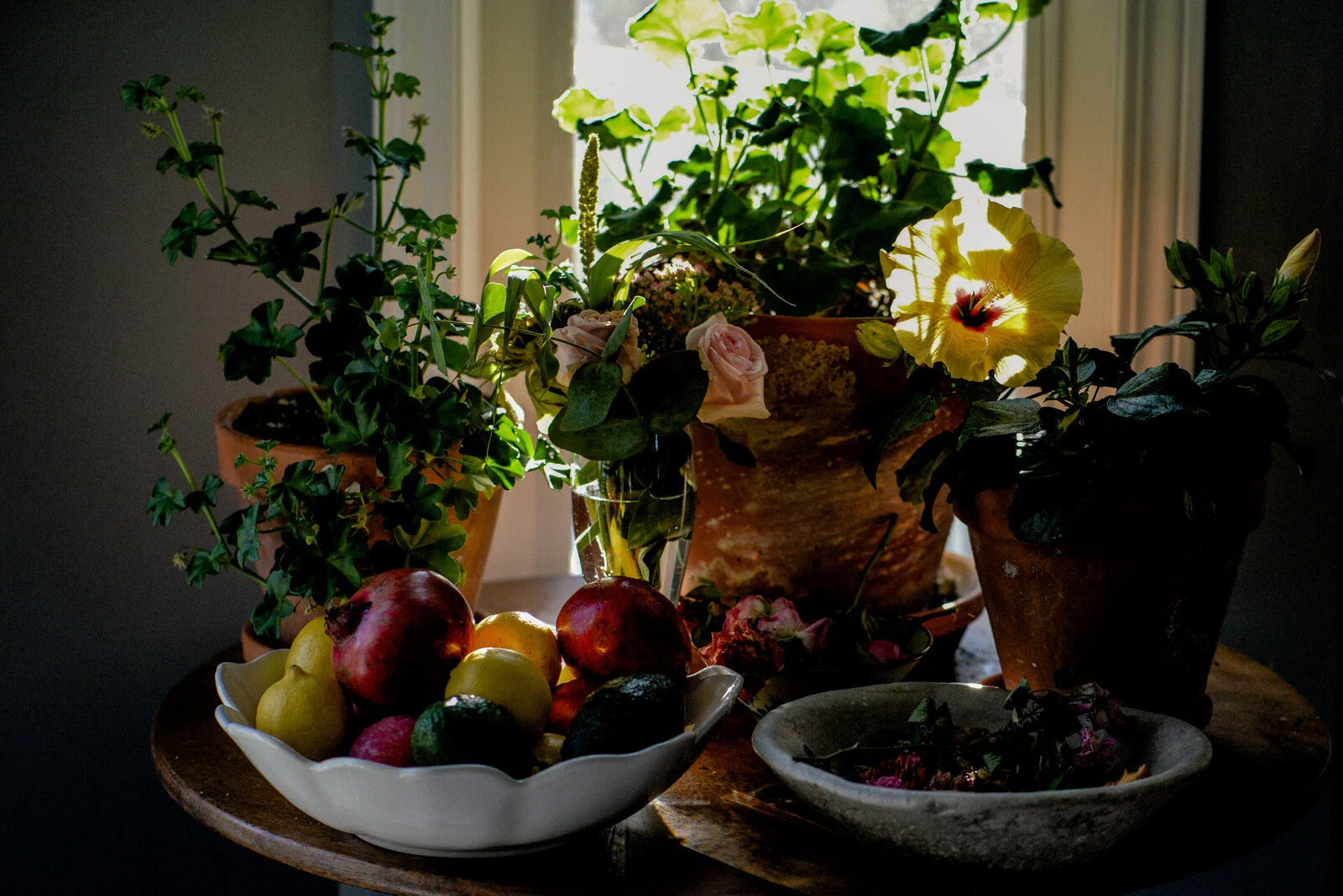 Shawna Lemay still life