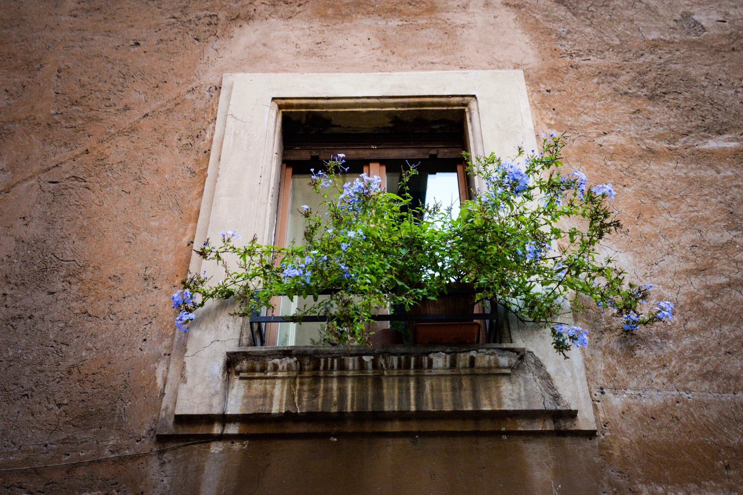 The Flowers Will Not Be Silenced