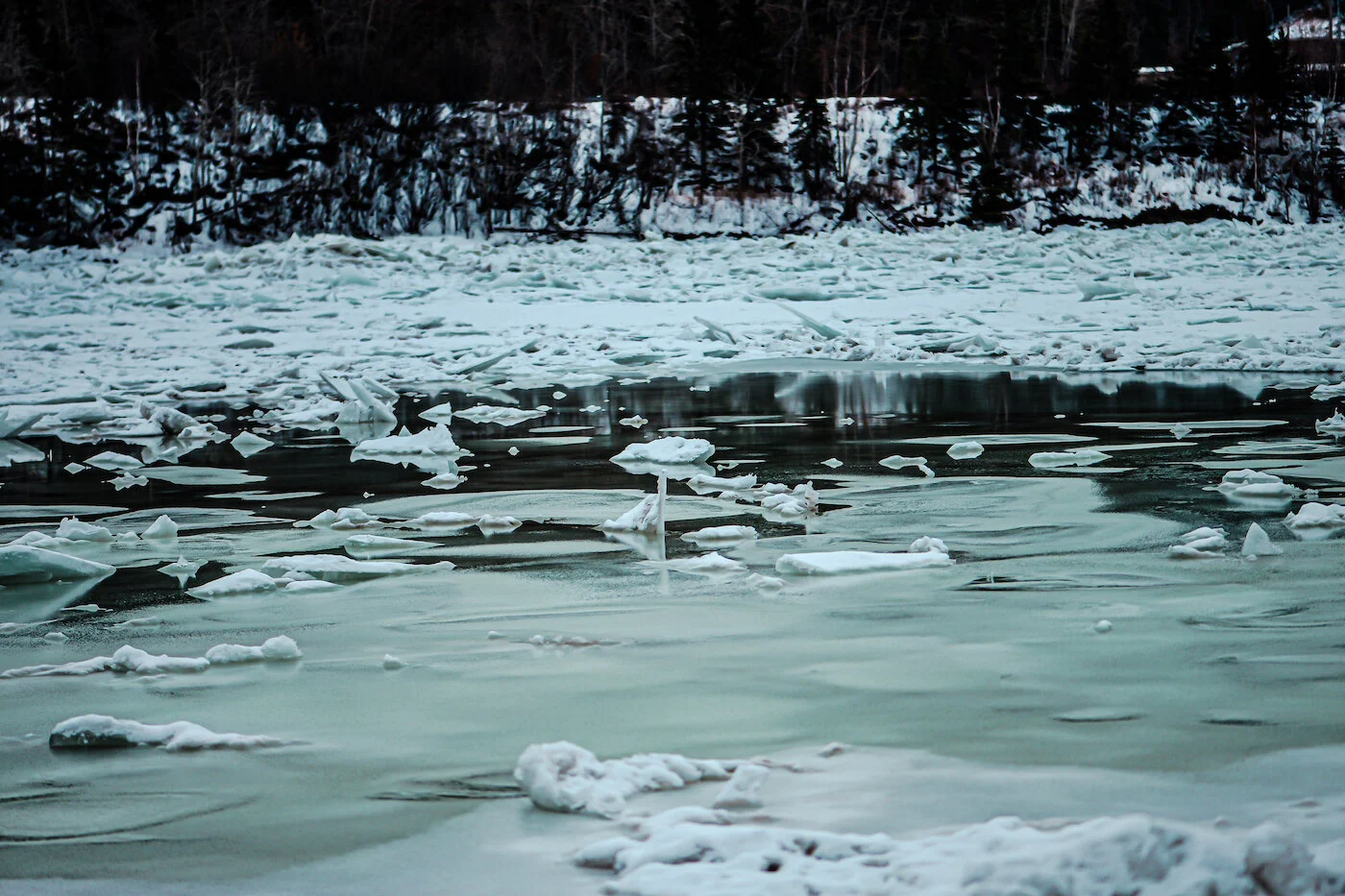 ice north saskatchewan river by shawna lemay