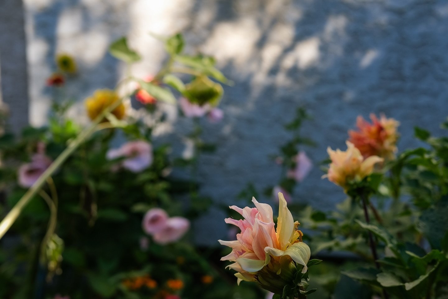 The book I&rsquo;m rereading lately that gives me the most hope is titled Emergent Strategy by adrienne maree brown. She talks about collecting &ldquo;tender data&rdquo; and how we are all connected. She says &ldquo;transform yourself to transform th