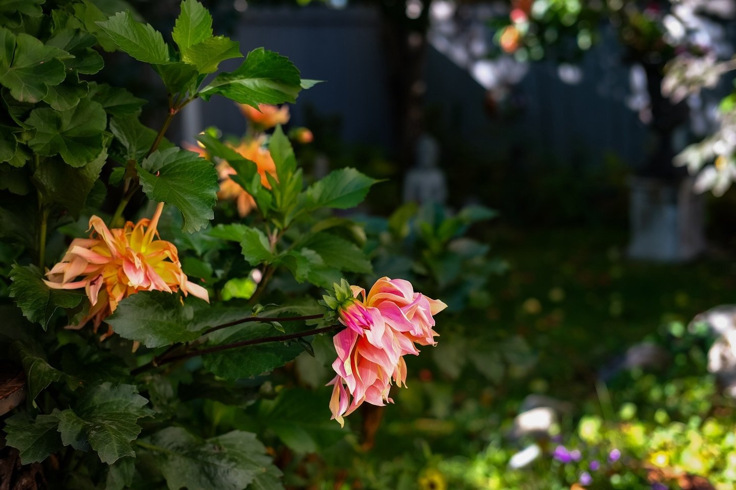 I think a lot about creating conditions: what are the conditions we need to feel more alive, to feel hopeful, excited, inspired? What are the conditions we need to feel safe so that we might grow as artists and humans? What are the conditions we need