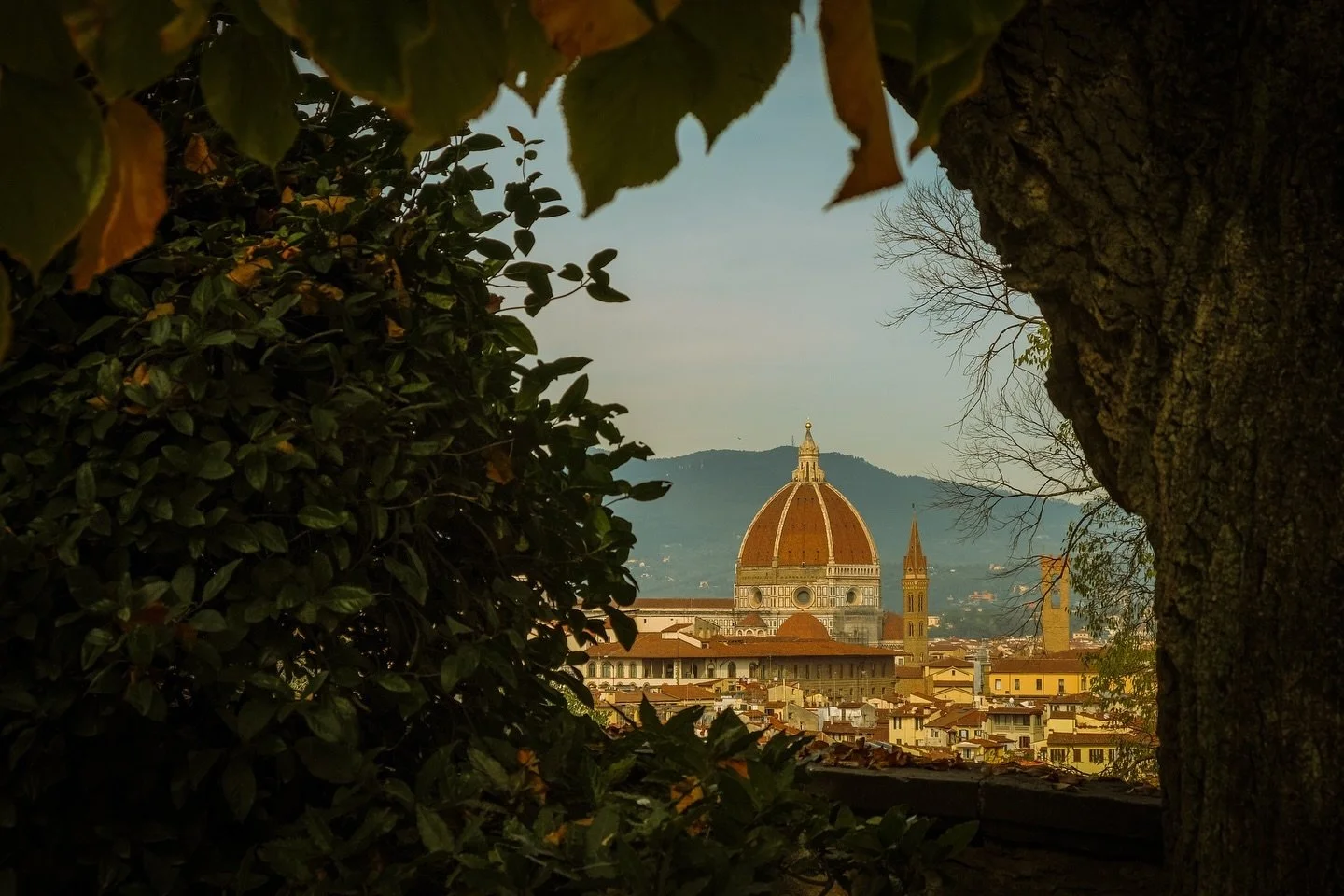 Randoms from today, trip diary. 

#florence #firenze #travelphotography