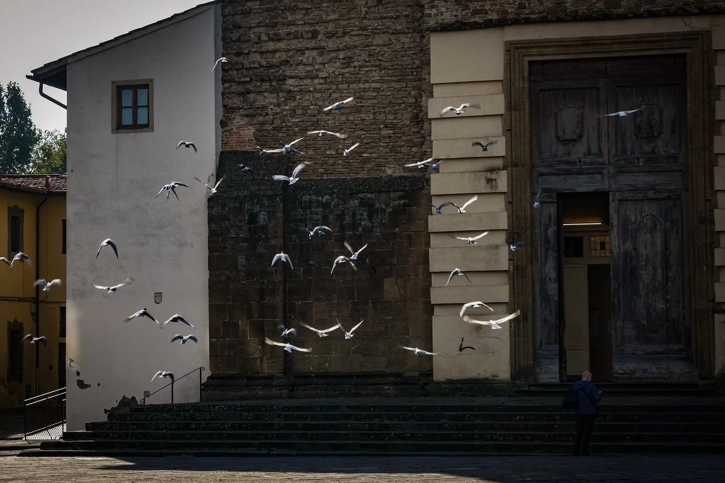 Wee bit of overposting tonight apologies 😅 

Facade and door of #santamariadelcarminefirenze which houses the Brancacci Chapel (see post a couple  previous). 

#pigeonsofinstagram #pigeonsinflight