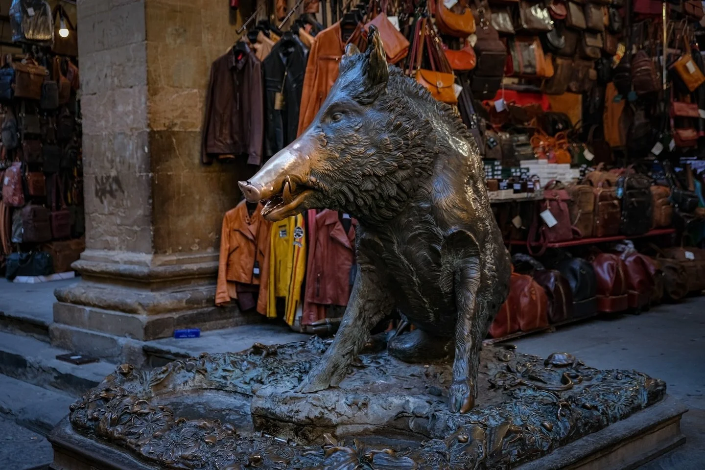 Il Porcellino with his lucky nose, pup, light, shadows, small bird with cigarette butts, wall kisses, and other moments.

#ilporcellino #Florence #firenze