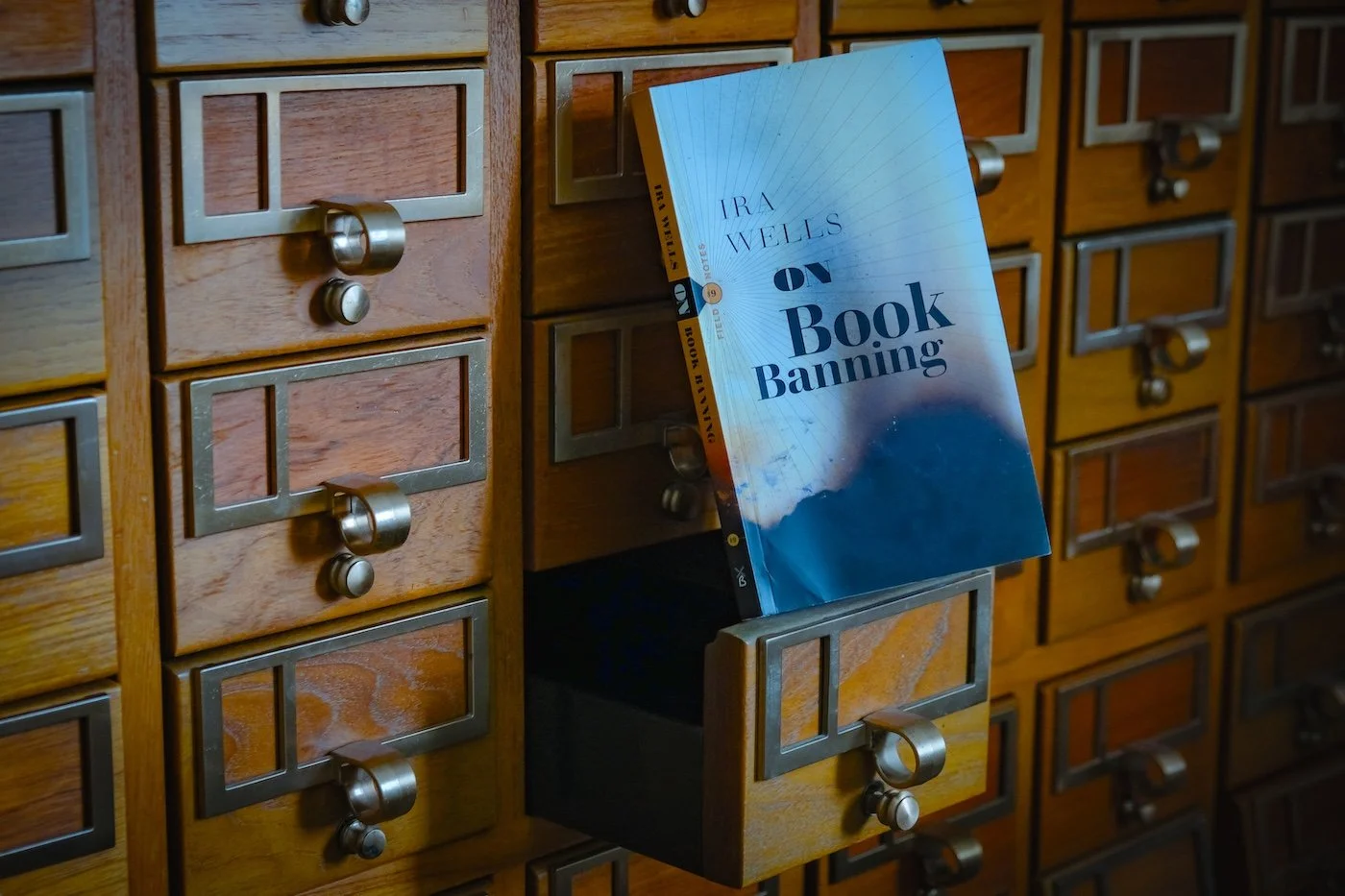 Ode to the Books Unwritten