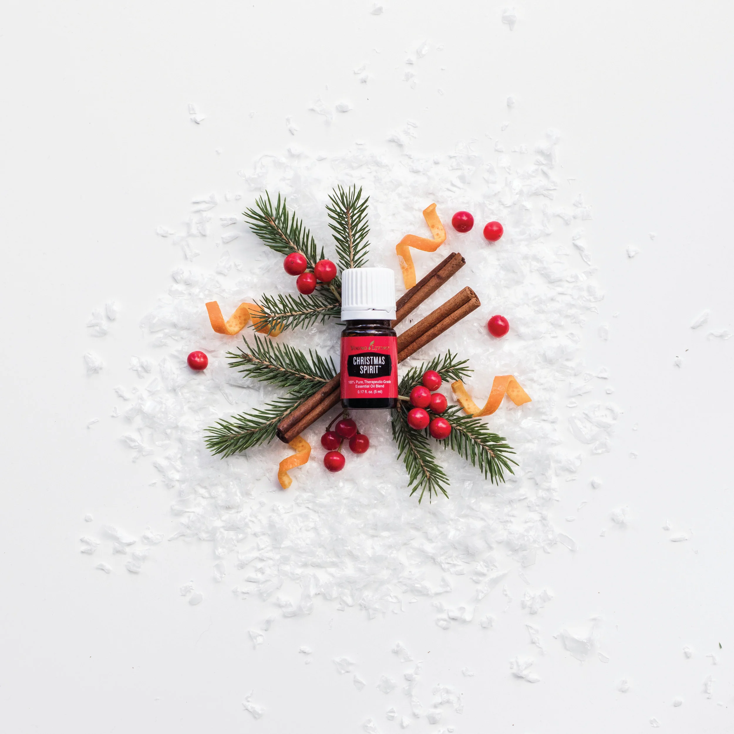 Christmas Spirit + NO tax/shipping