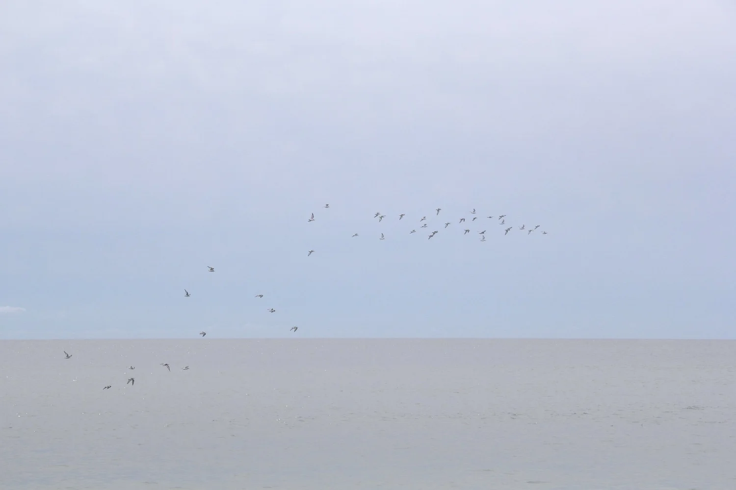 SCATTER