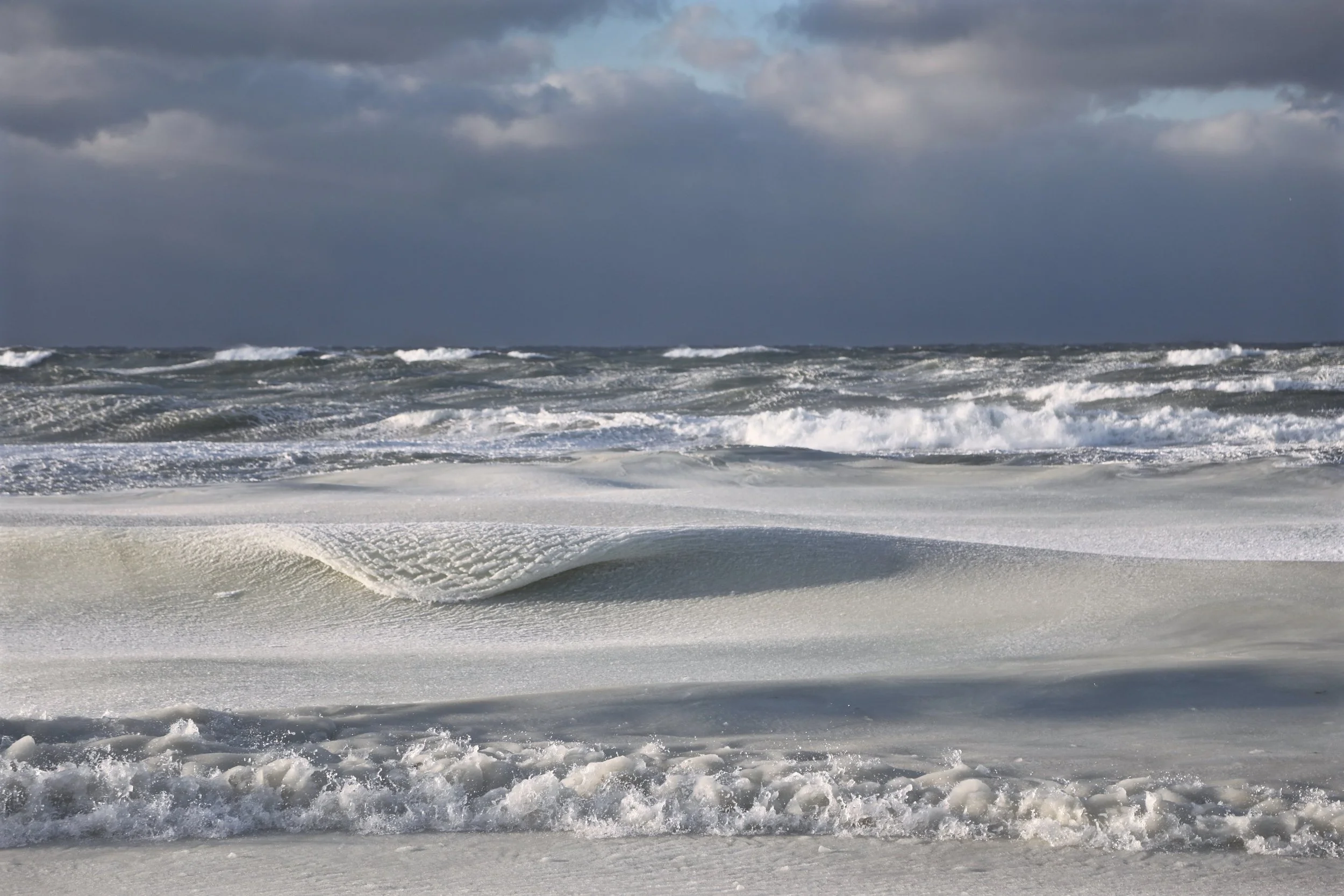 rsz_powdered sugar.jpg