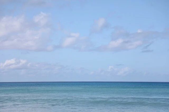 rz Summer Colors Lauren Marttila.jpeg