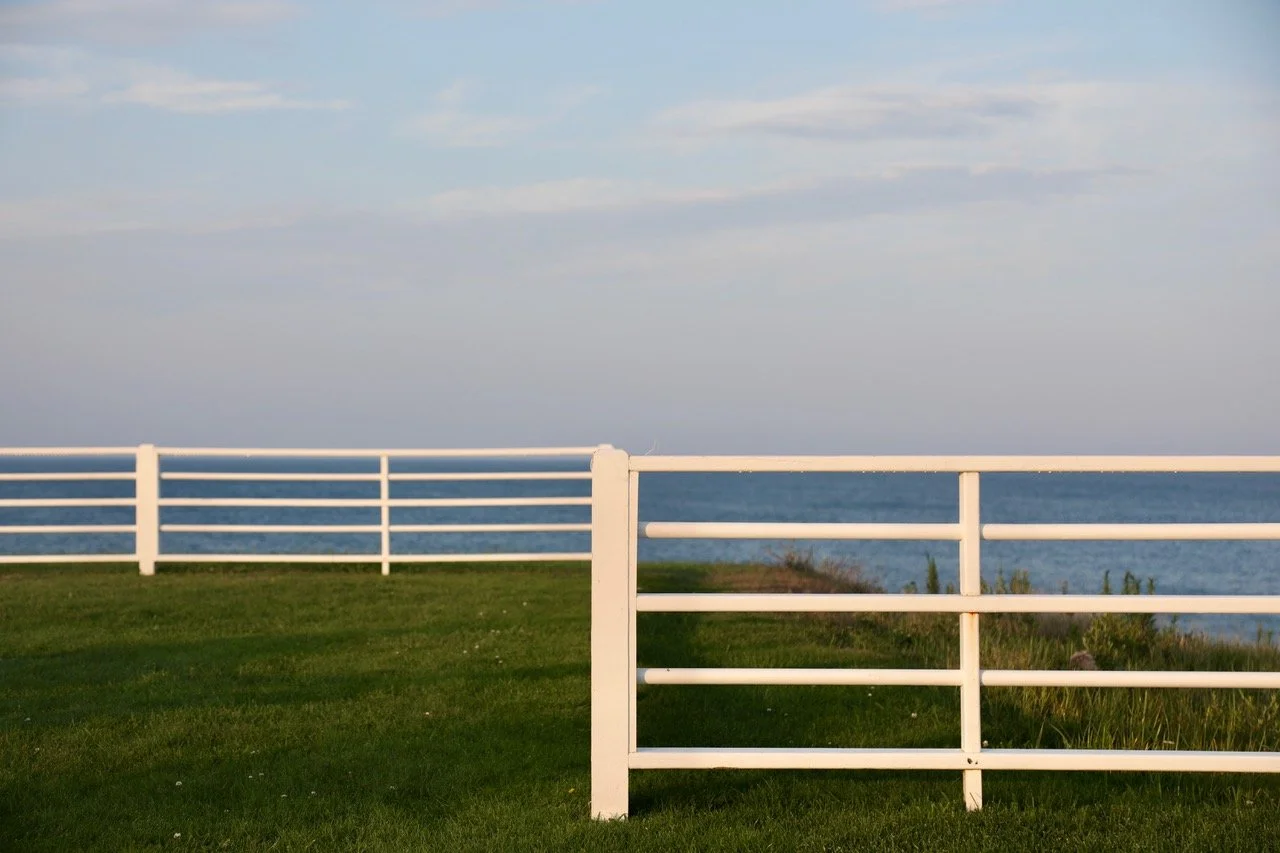 rz Mending Fences Lauren Marttila.jpeg