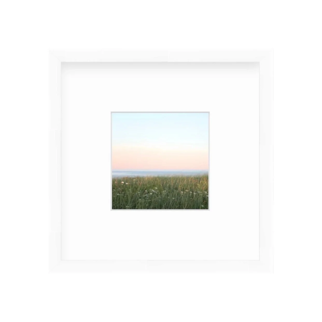 Free Love shelfie Lauren Marttila.JPG