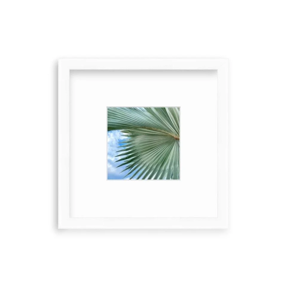 Palms and Fronds shelfie.JPG