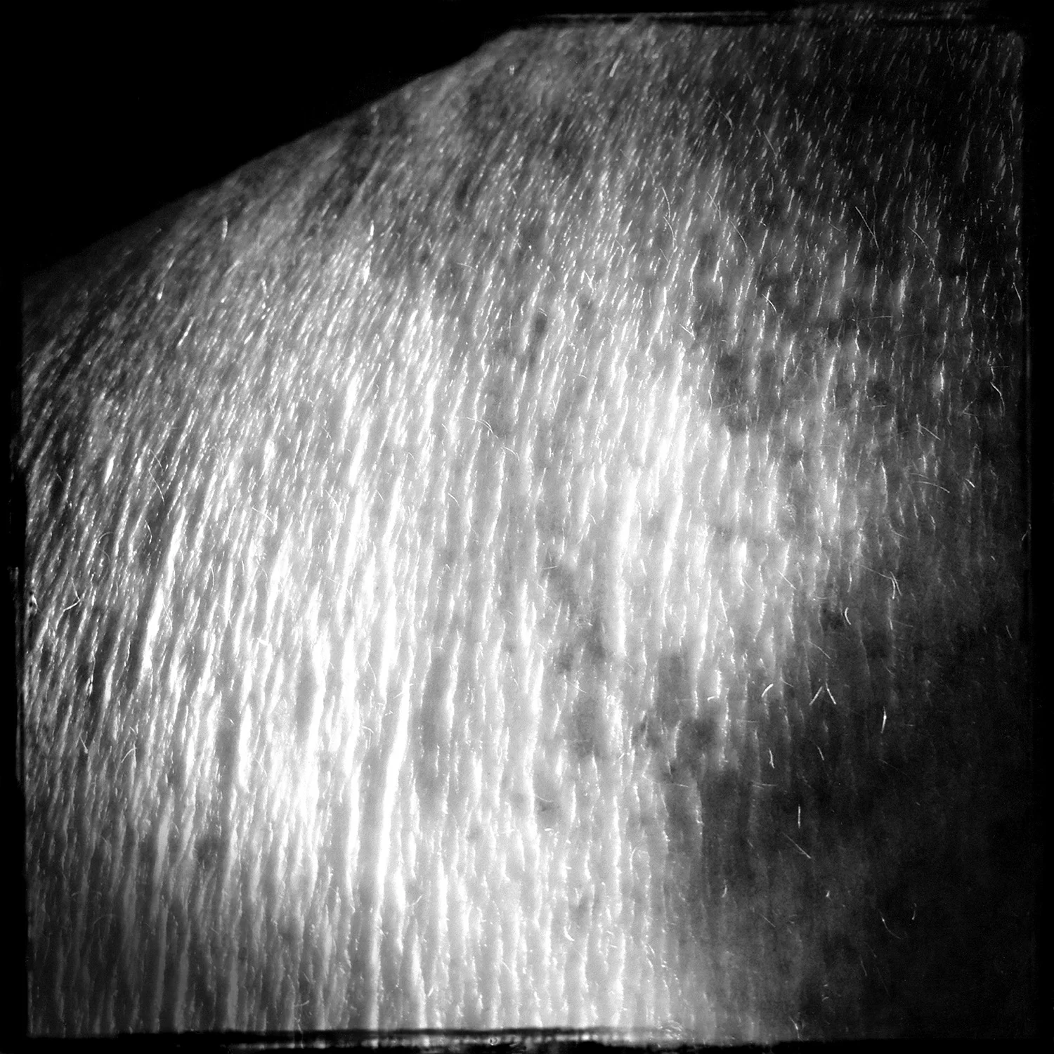 Skins 0708 72dpi.jpg