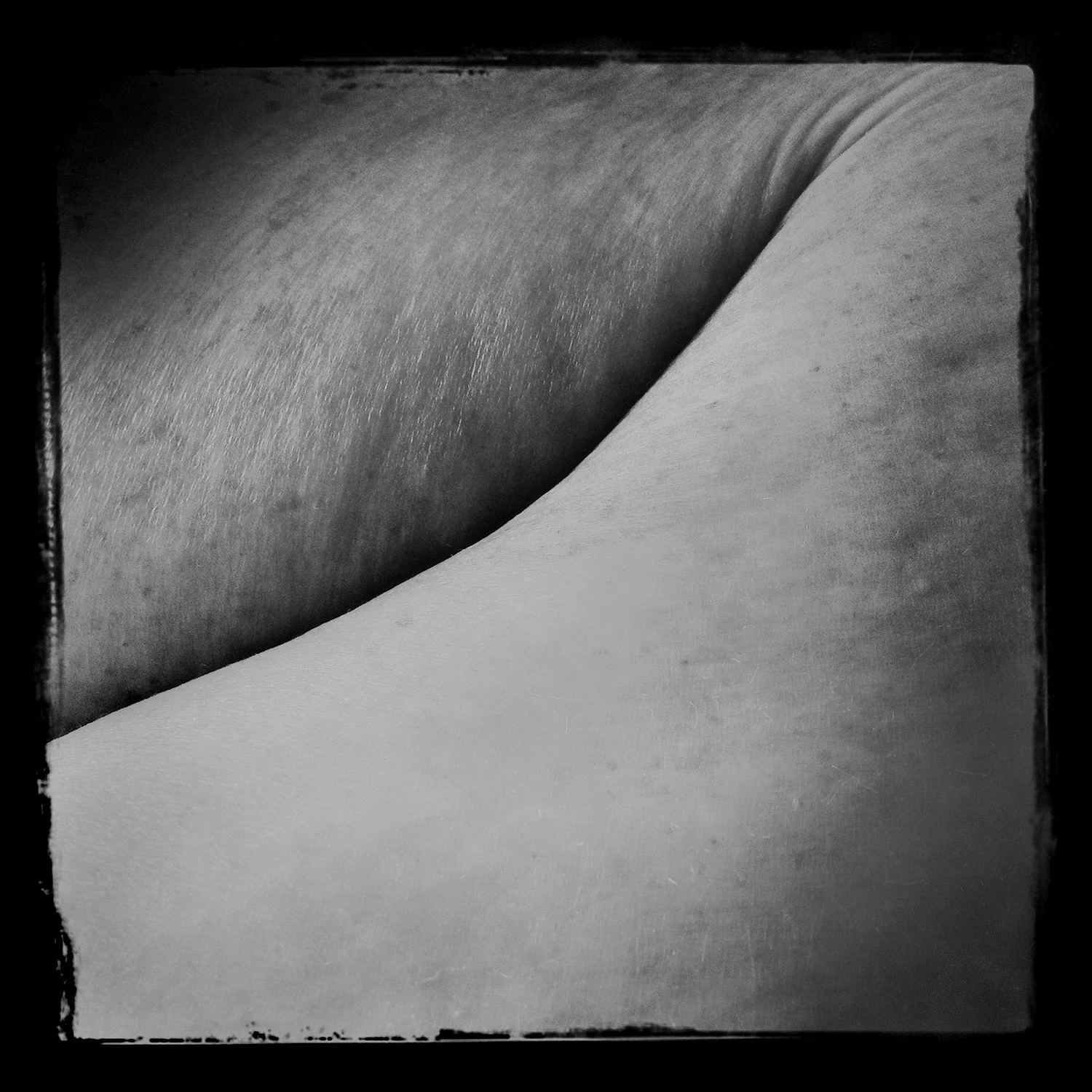 skins 1520 72dpi.jpg
