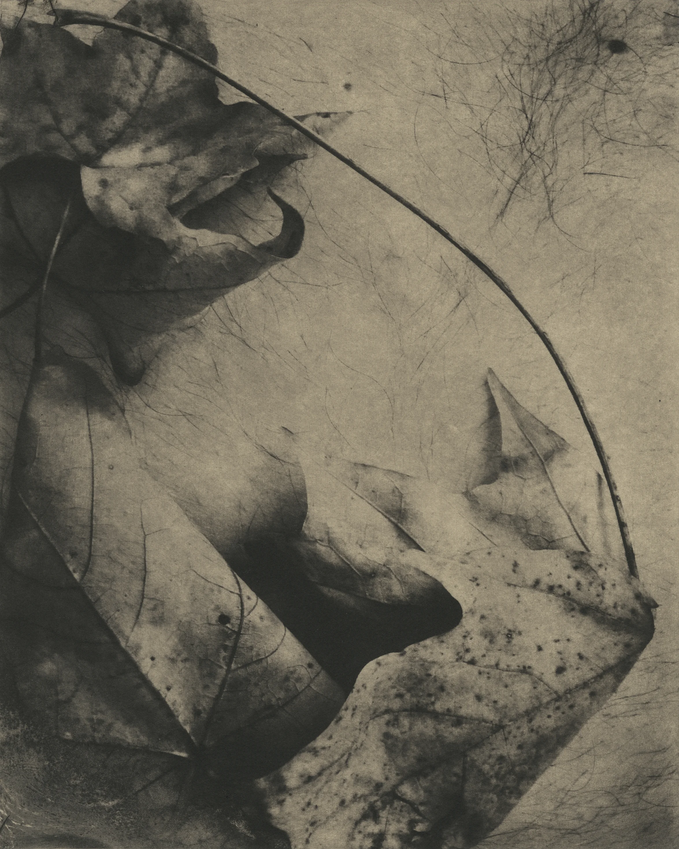 Flesh and Flora 3.jpg