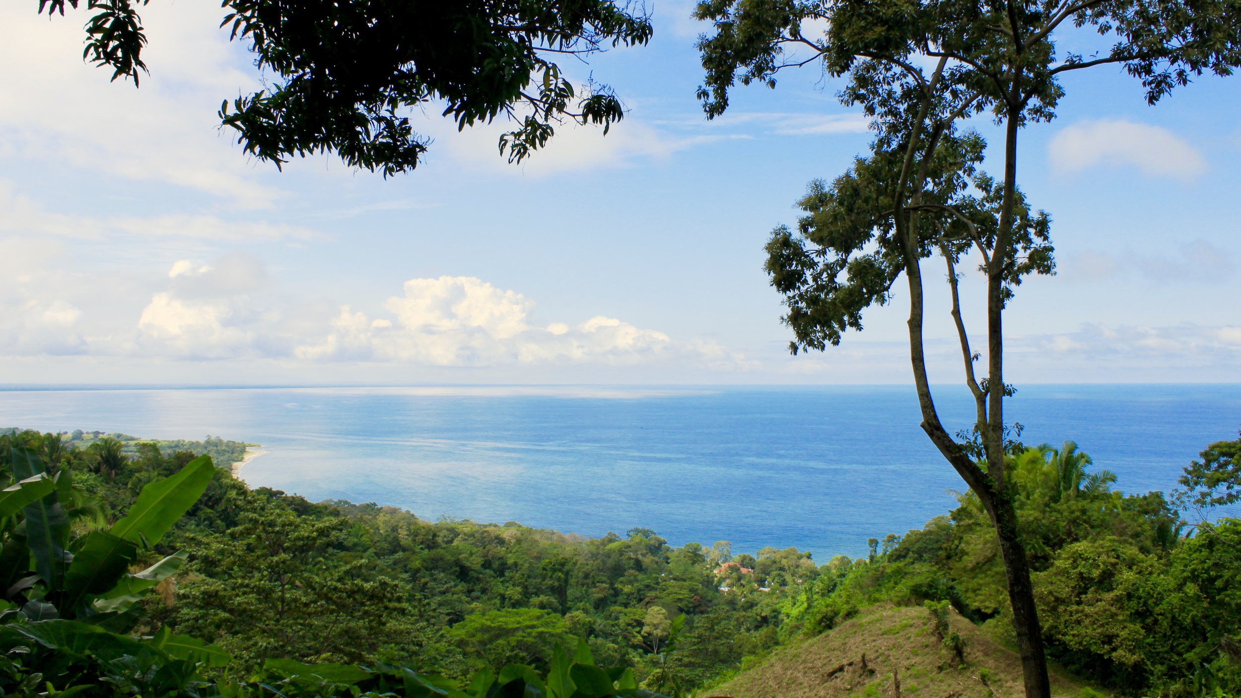 This is nowhere near the Darién Gap. This is actually Puerto Cortes, Honduras.