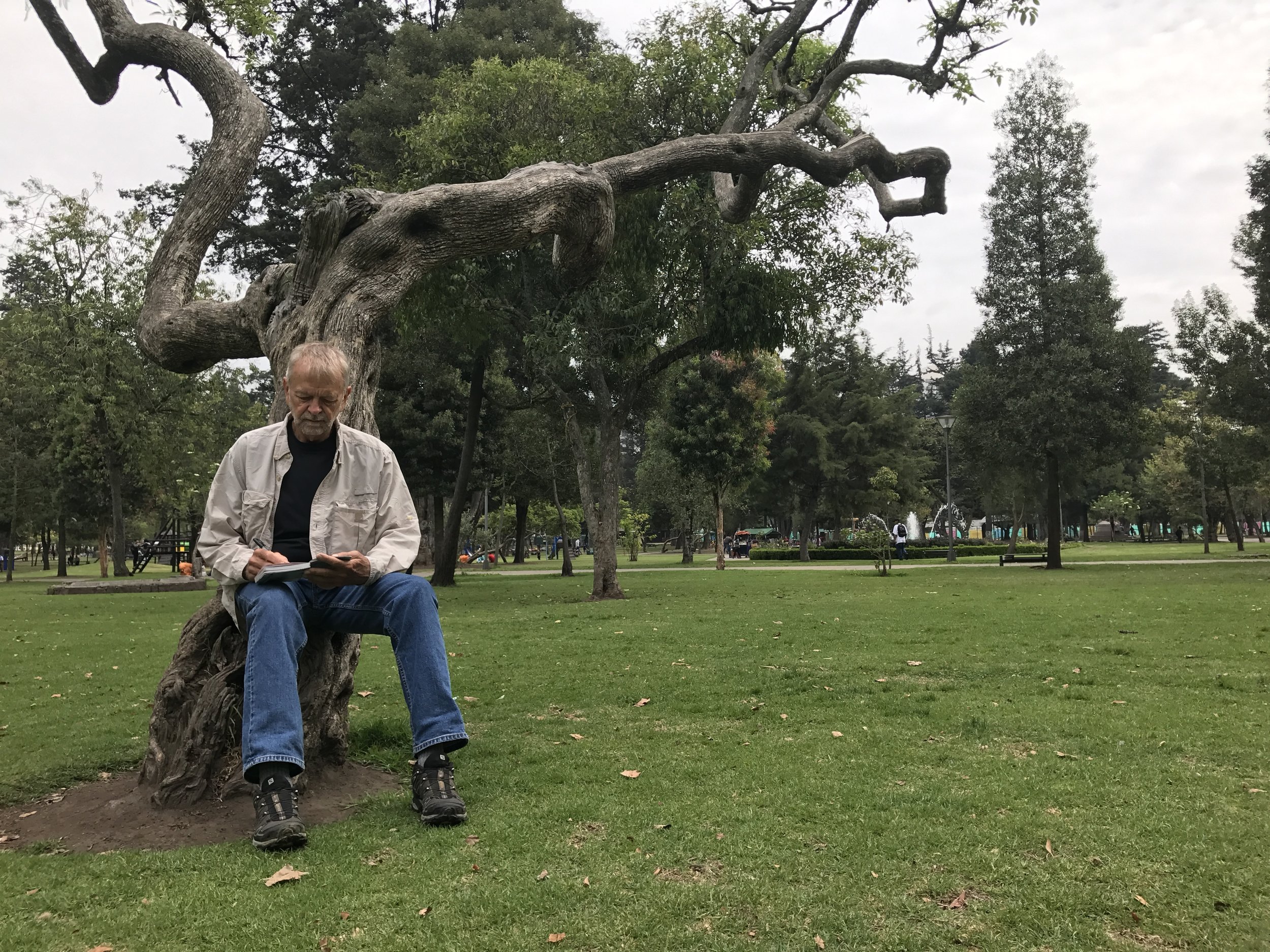 A large park near our apartment where I could collect my thoughts.