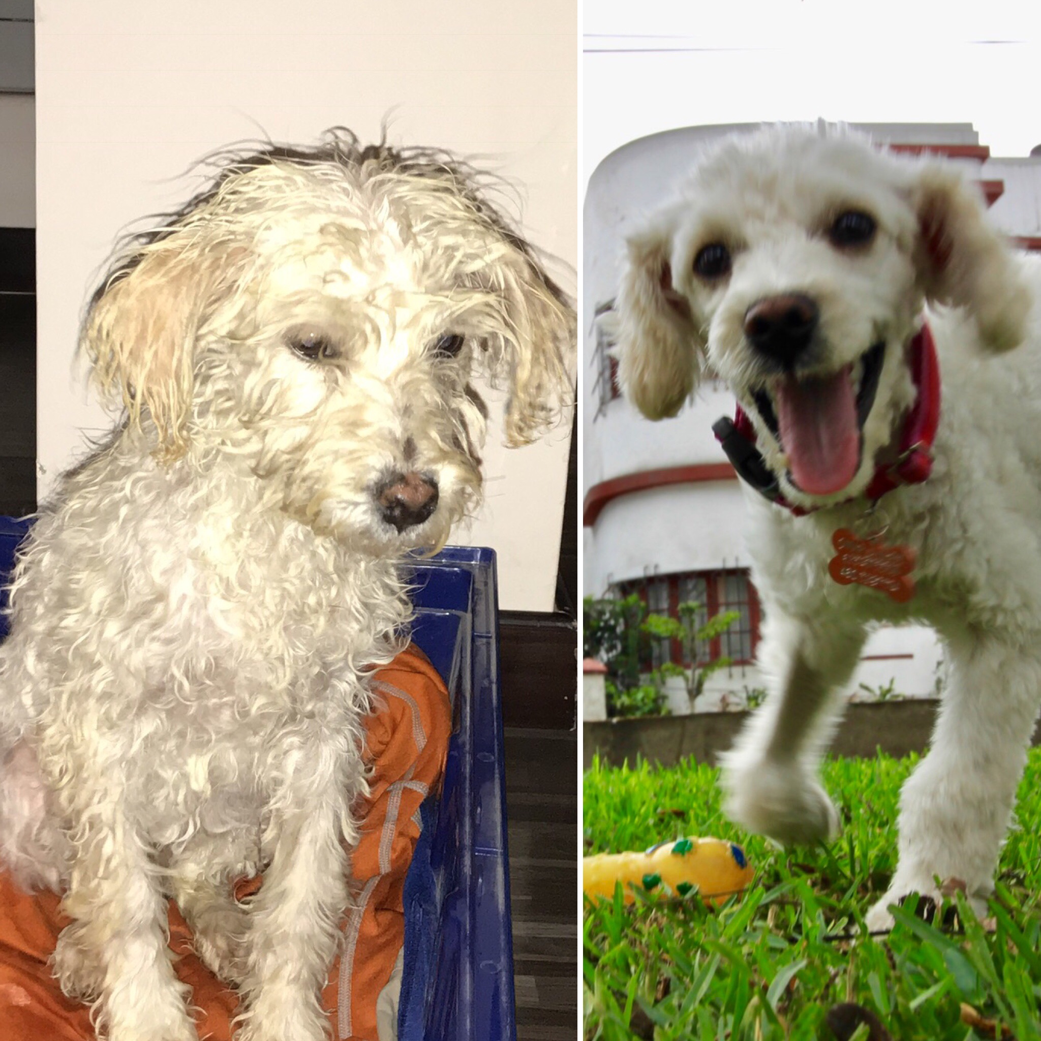 Suri's rescue completely transformed this adventure. Like Jhonny Botti suggested, we're Riding 2the Rescue.