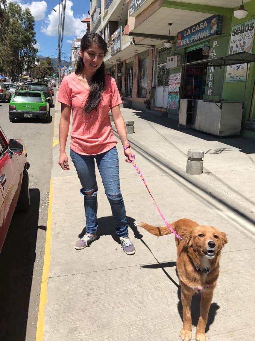Sunshine says "Thanks All," on her way to surgery.