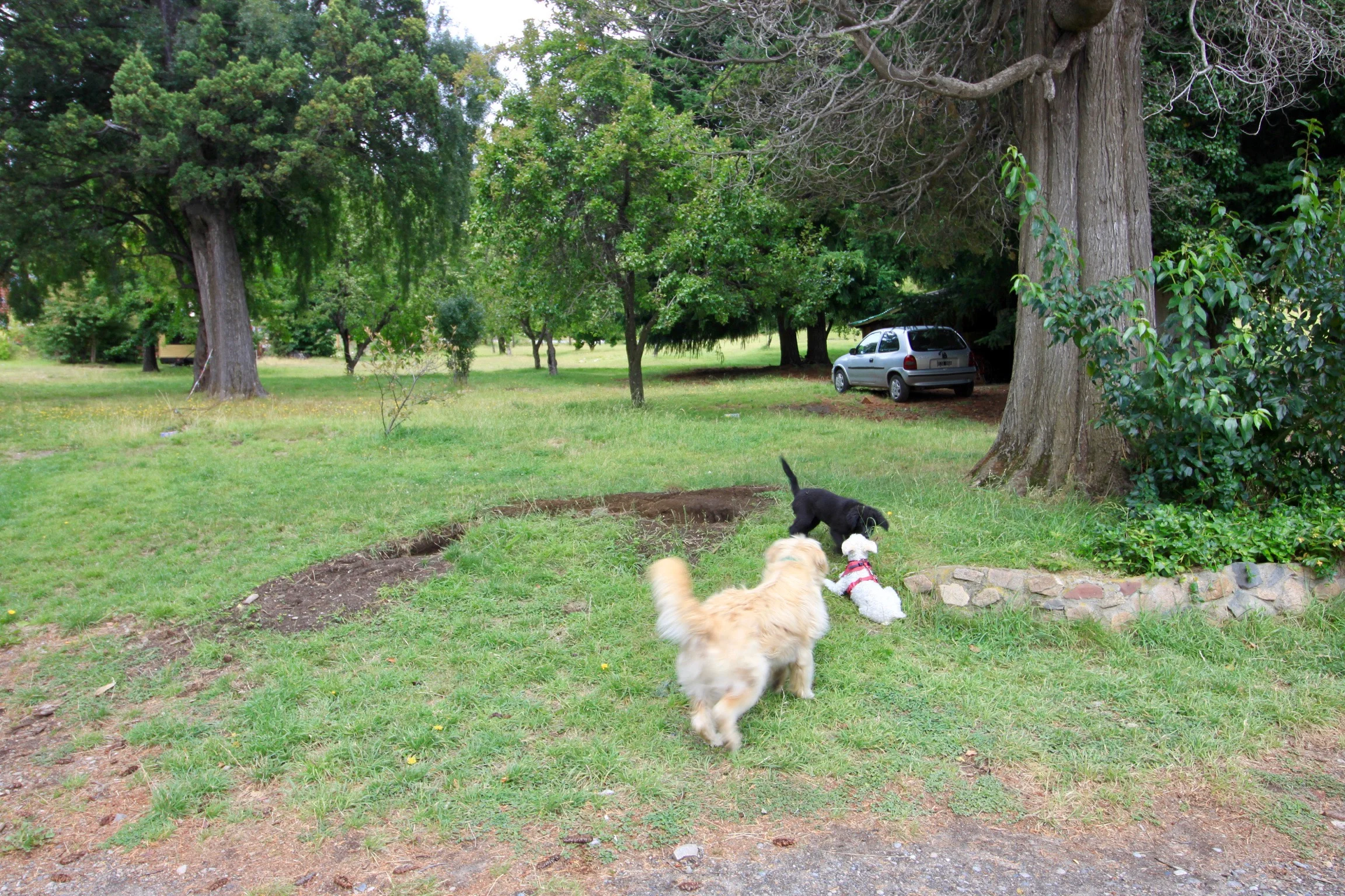Suri making friends everywhere we go.