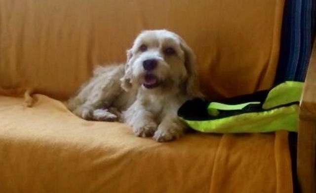 It's a GIRL! Matilda will join the Miller-Ordonez family soon.