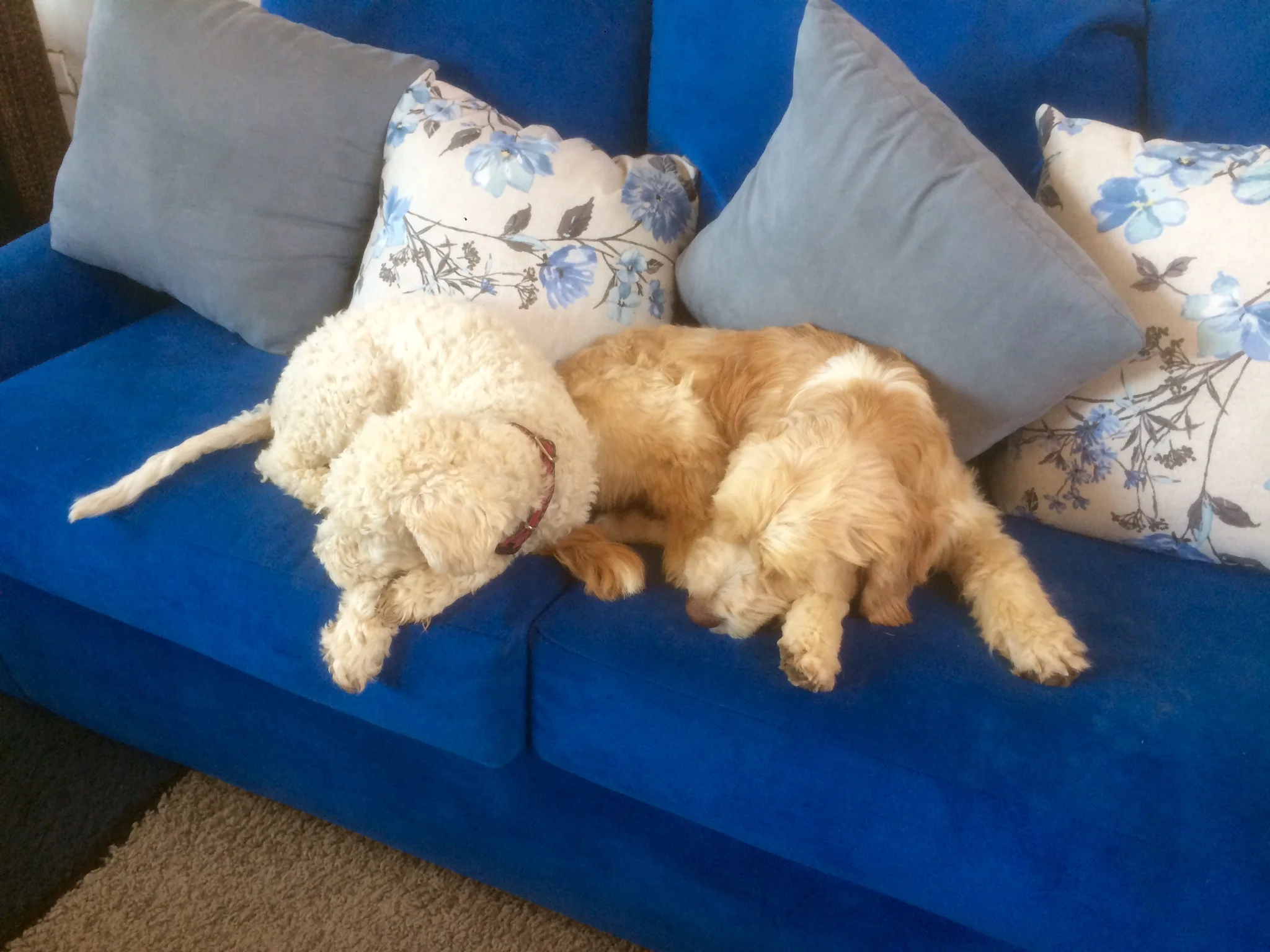 Sisters!