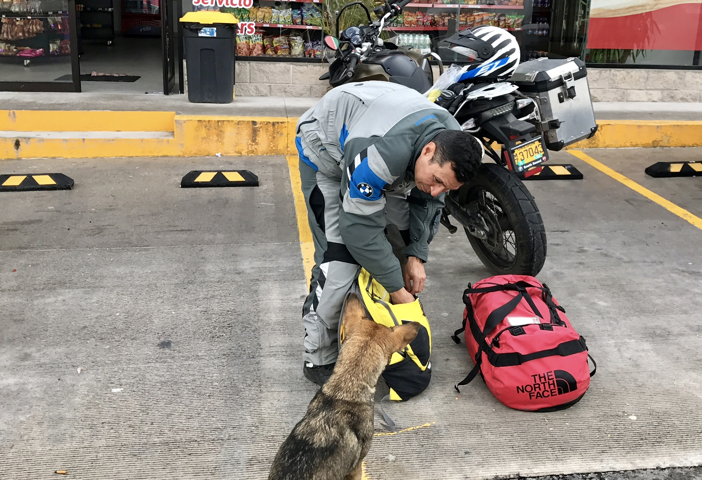 It's always good to carry food because you never know who you'll meet.