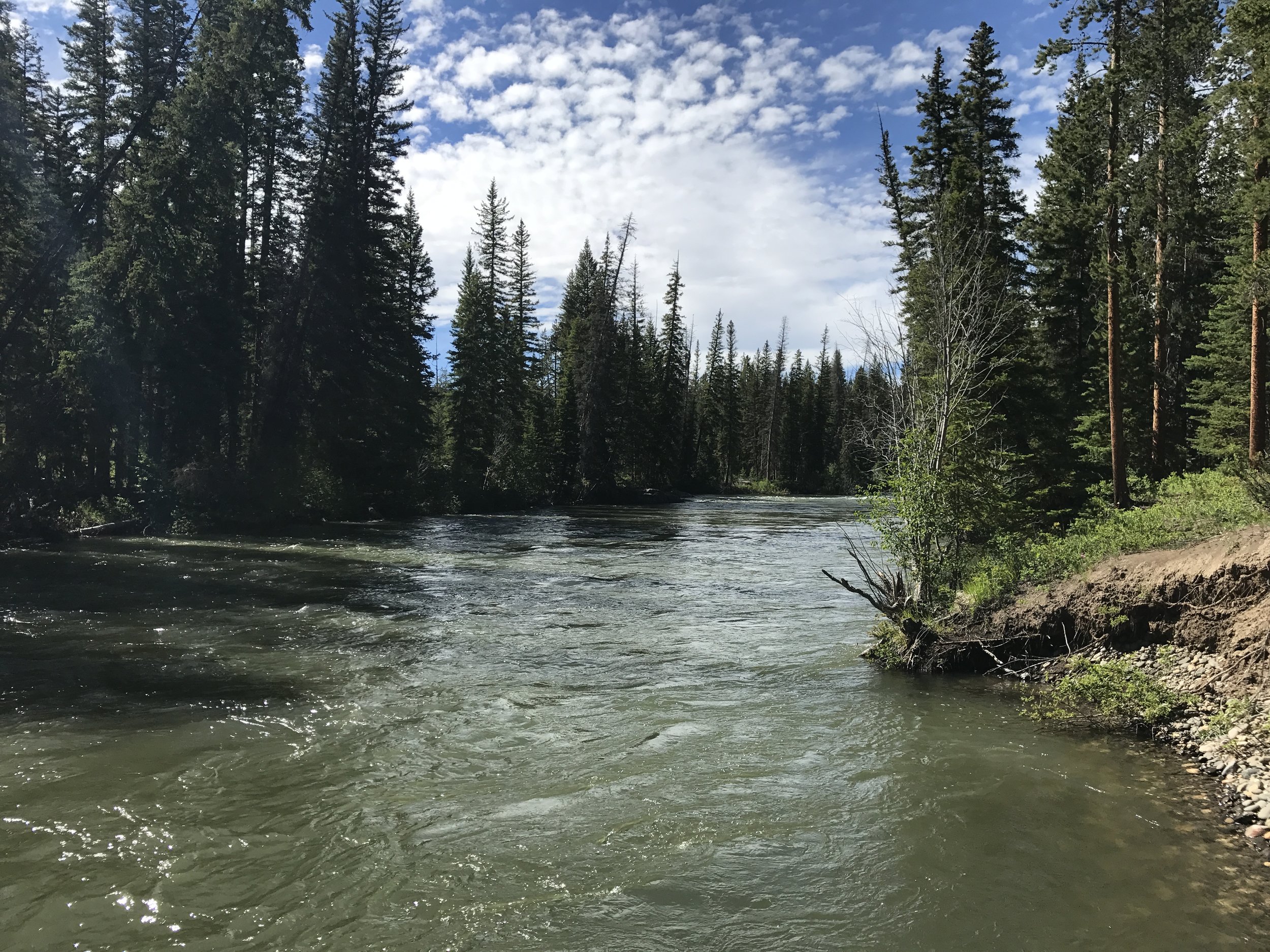 Clark fork of the Yellowstone River.