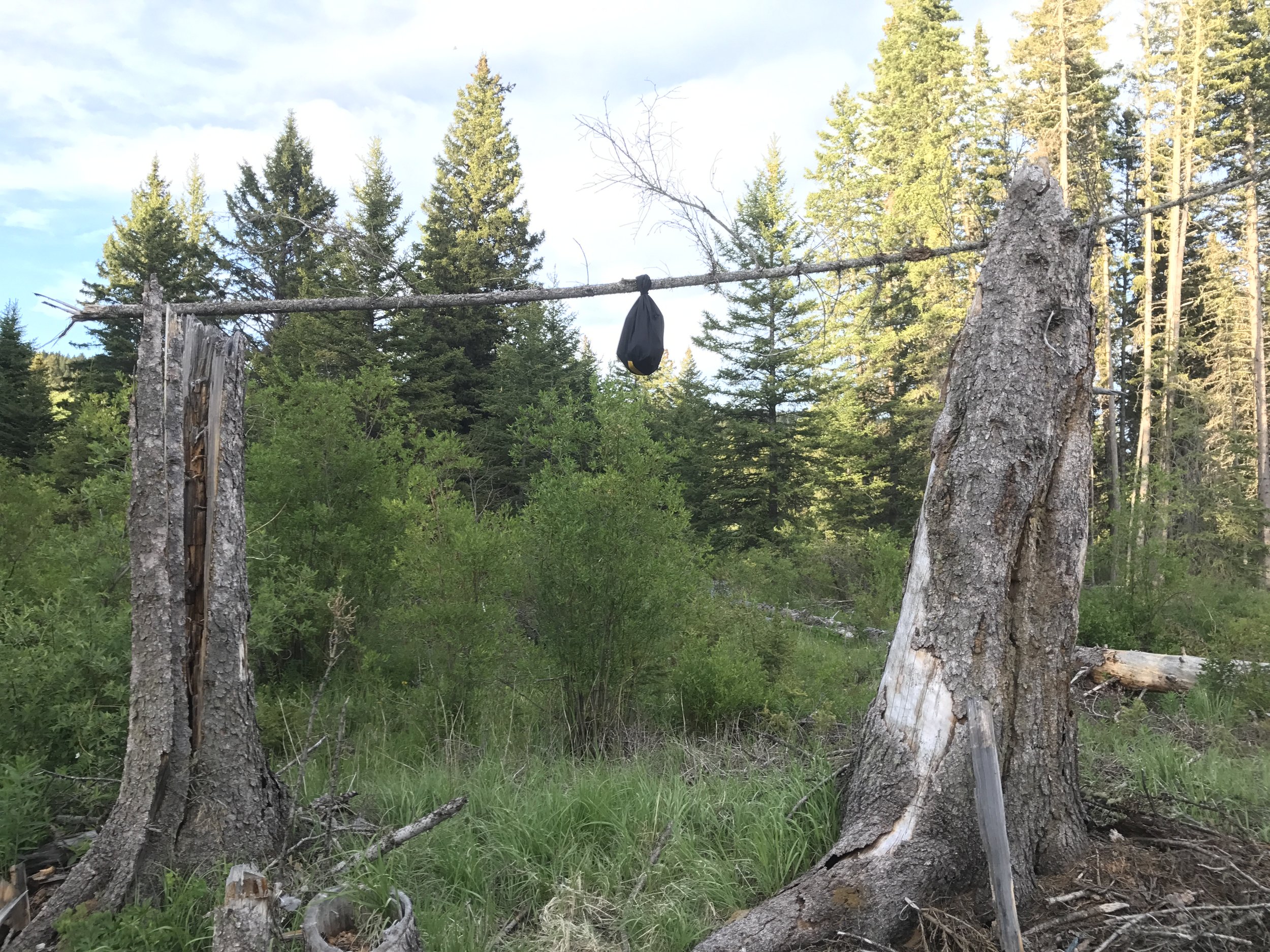 Food bag hanging out of reach of the local bears.