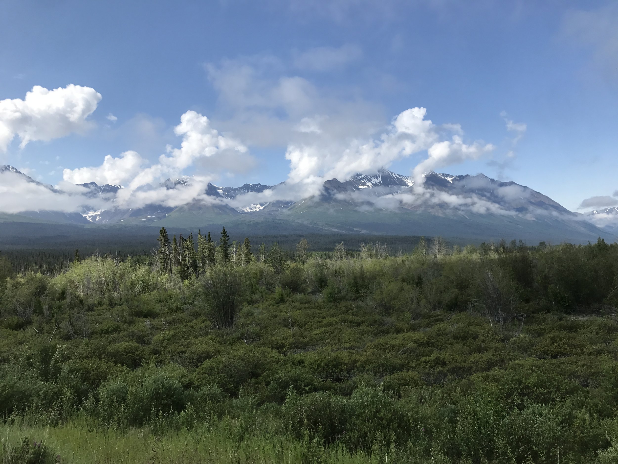 Mountains and forest west of Haines Junction. 
