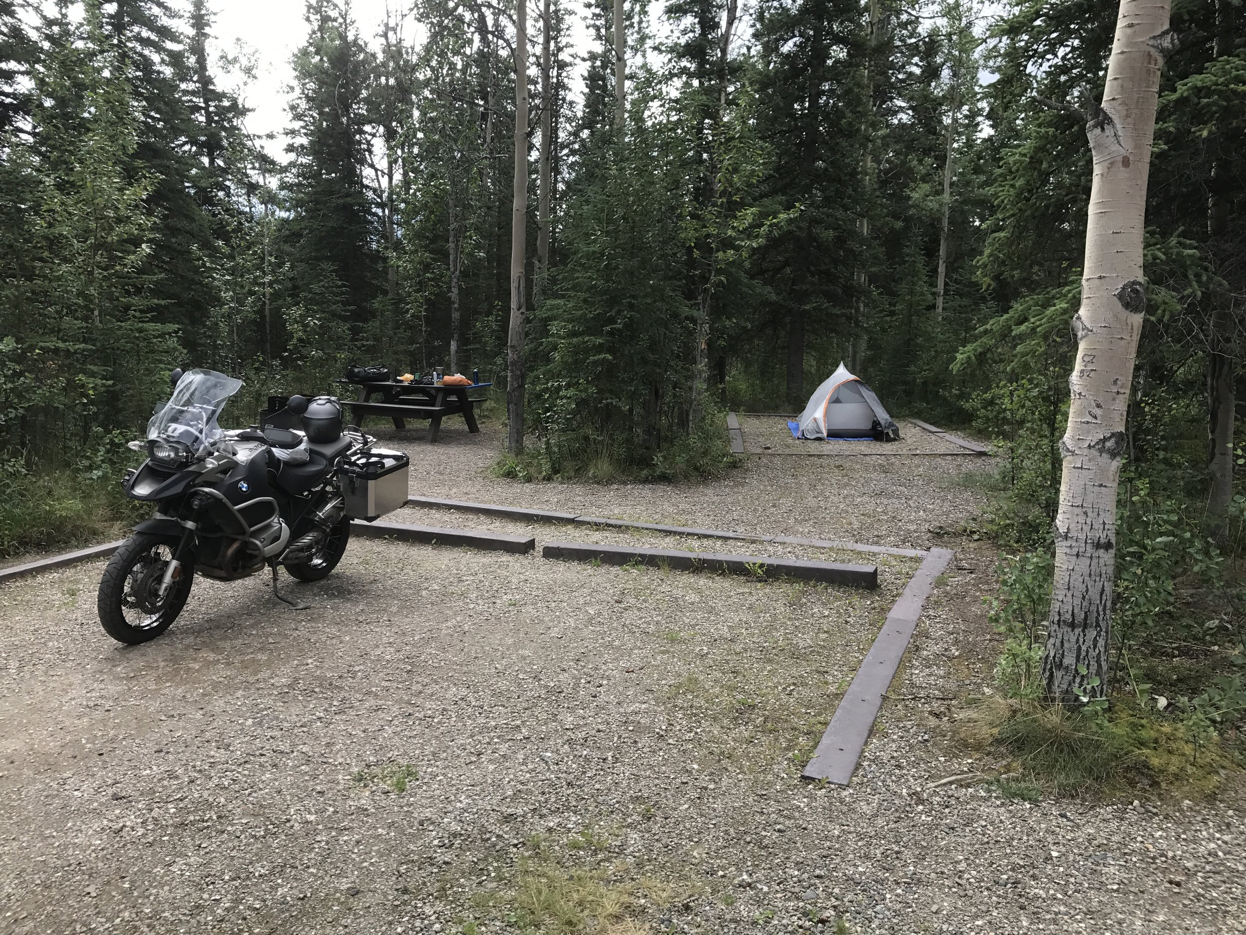 Campsite in Denali.