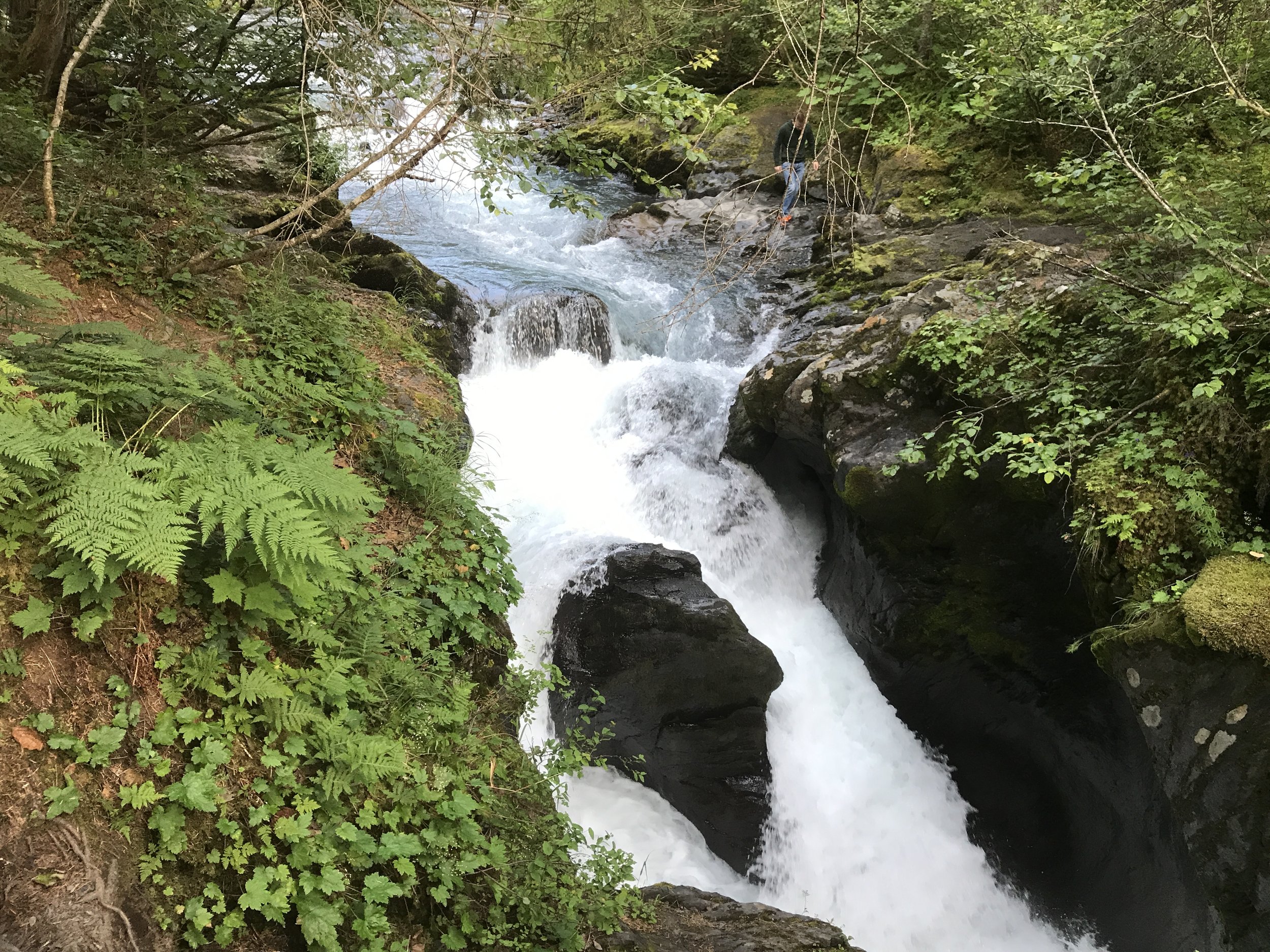 Along the Winner trail.