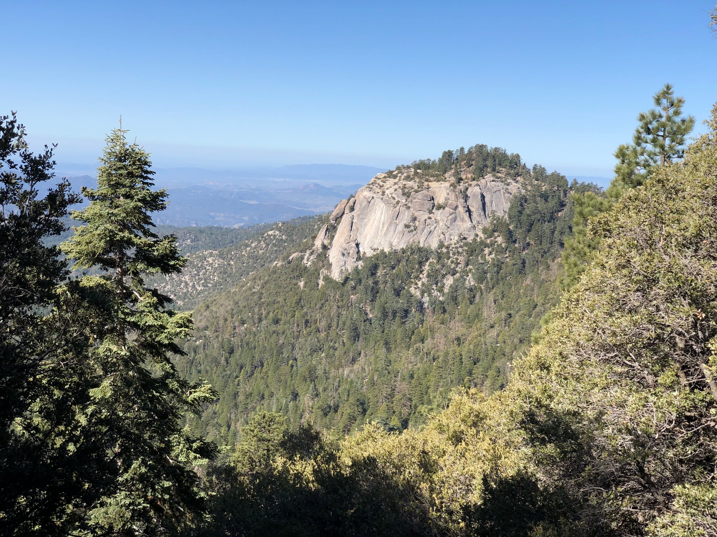 IMG_0205.jpeg