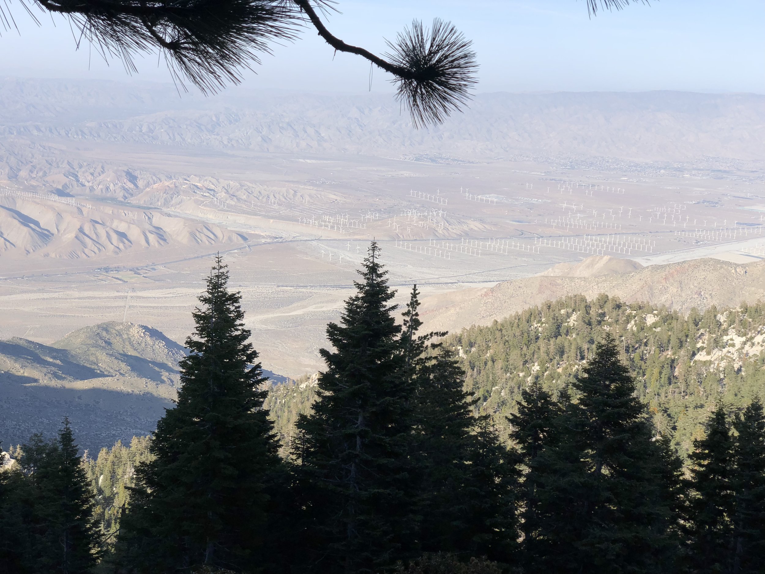 If you squint a little you can see I-10 in the distance.