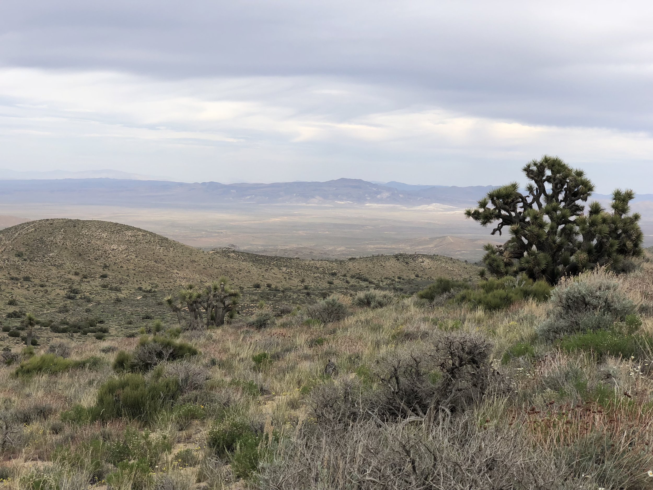 Distant Mountains Across the Desert