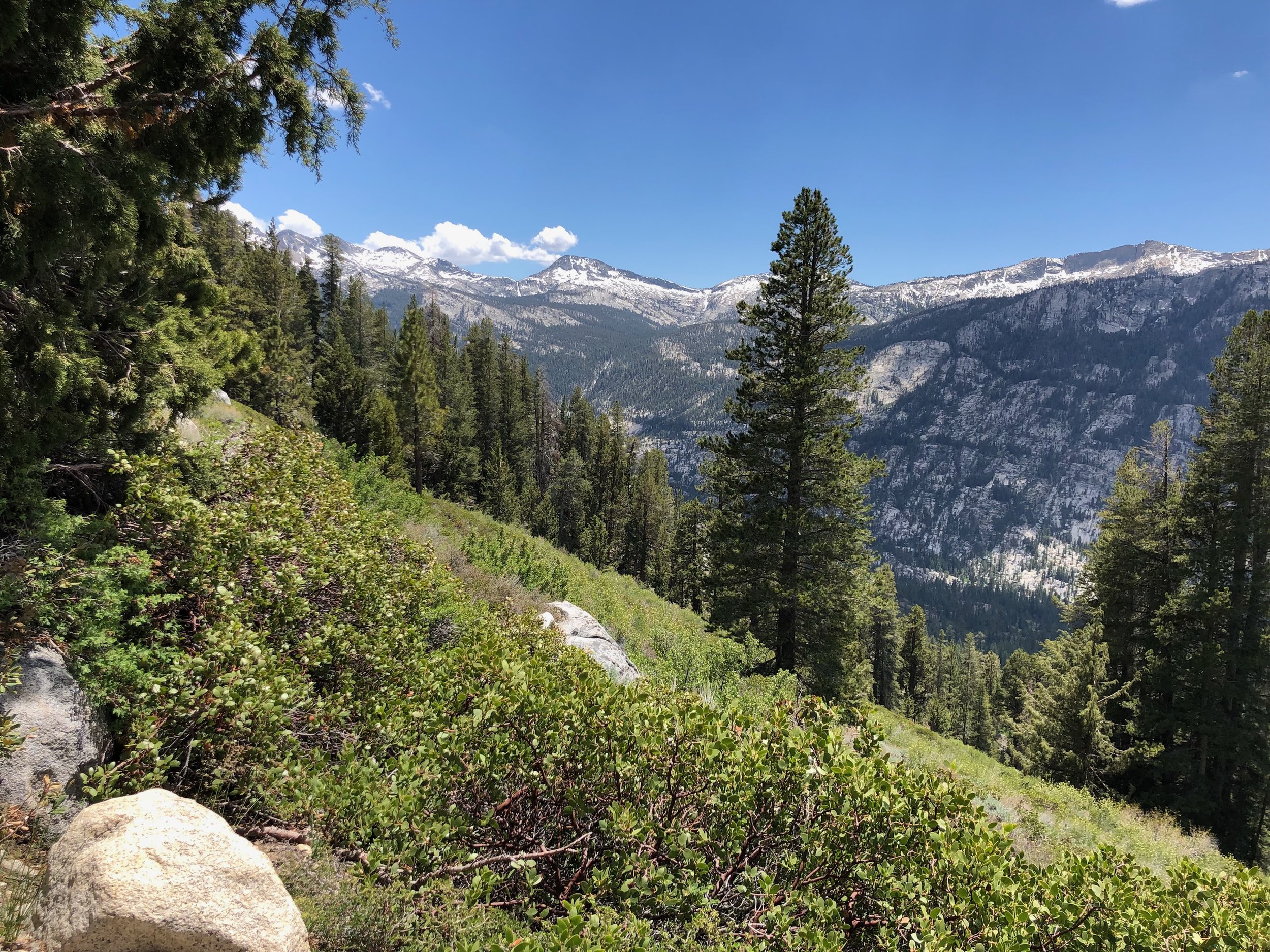 IMG_0664.jpeg