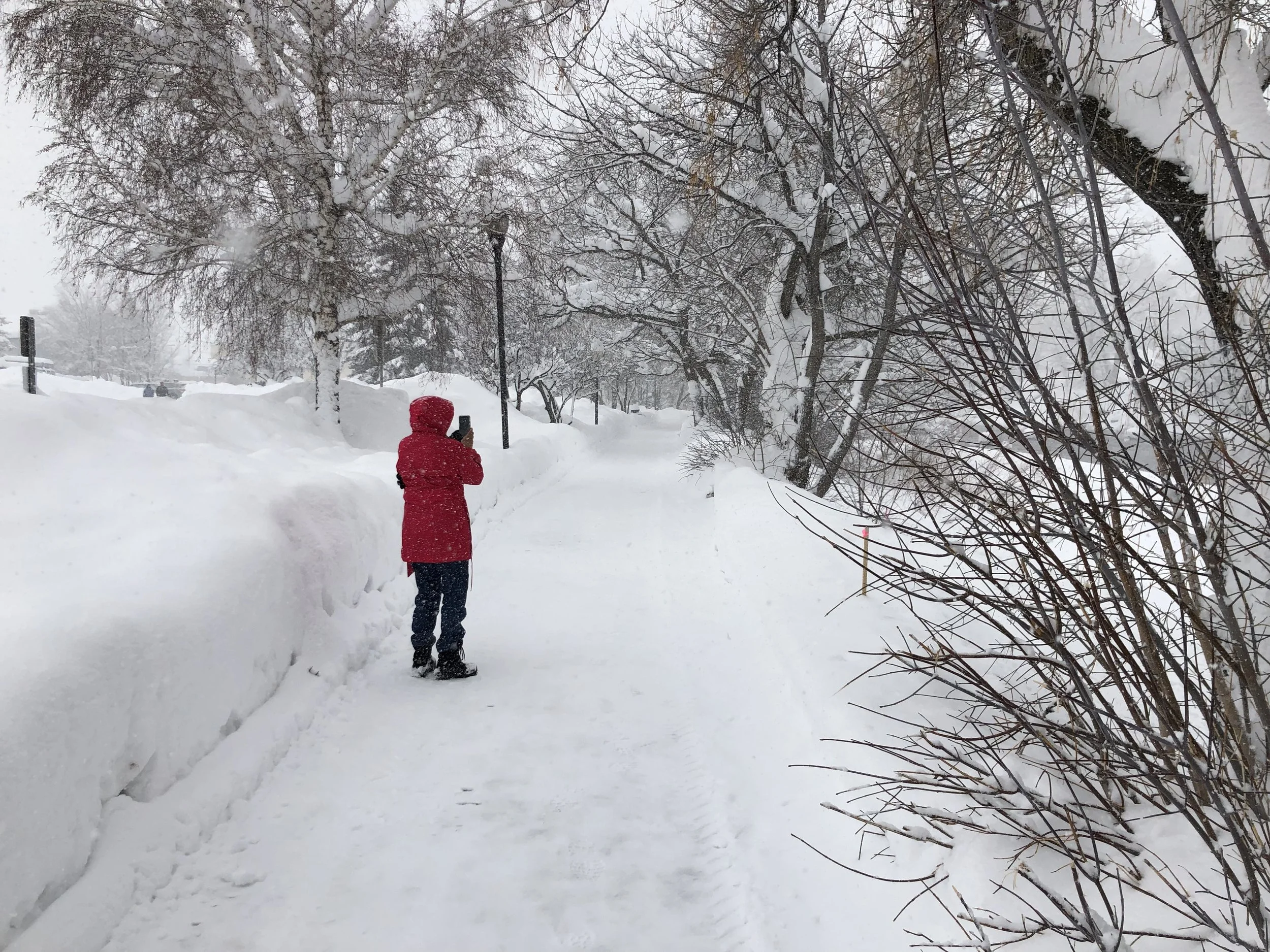 Animas River Trail in the middle of February.