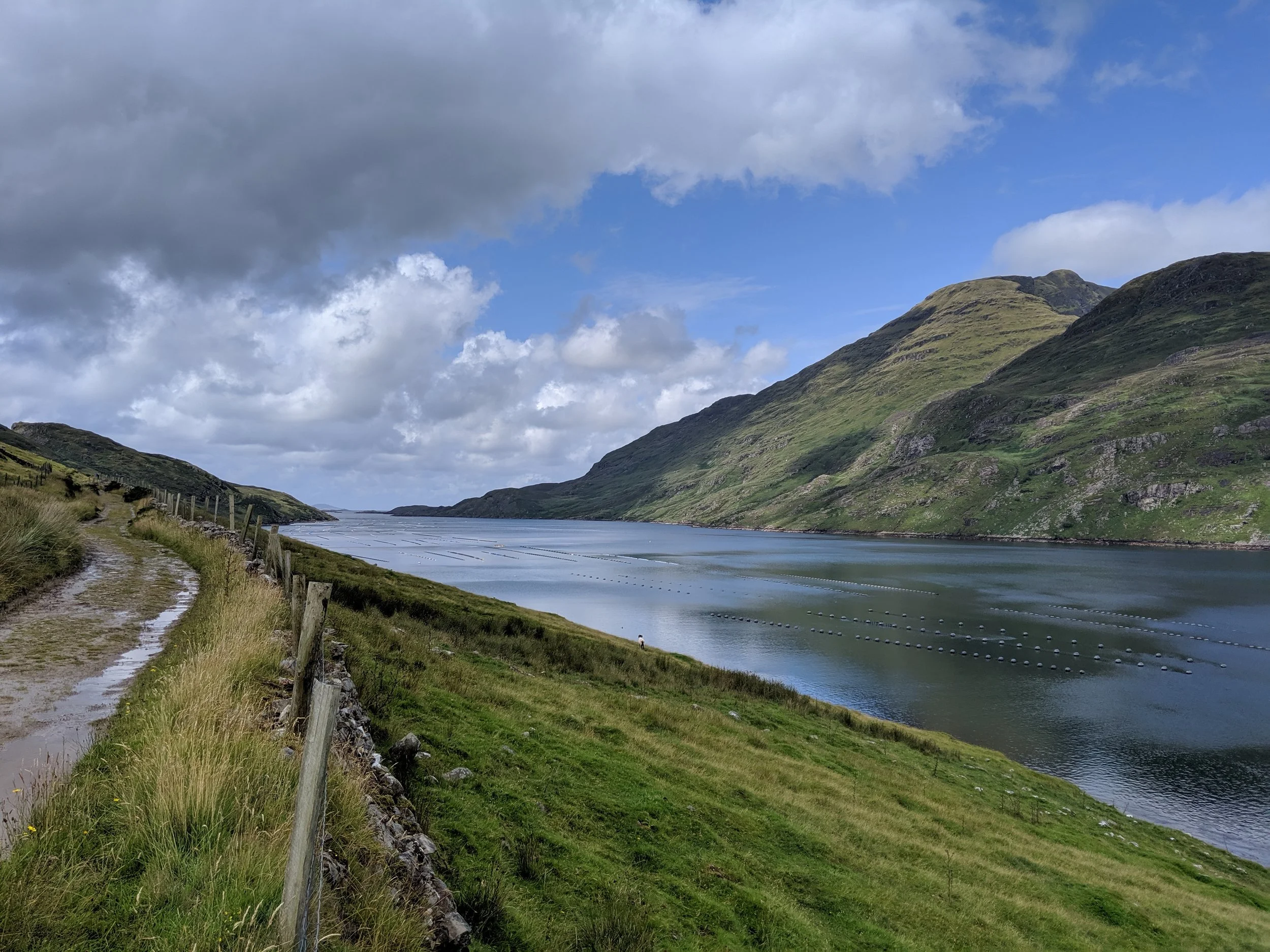 This photo was taken from the Famine Road looking westward down the Killary Fjord. During the famine of 1847 this road was used by starving Irish peasants as the made their way to the various ports along the coast where they boarded ships to take them to America or another country. Floating in the fjord are buoys used for shellfish farming and harvesting.